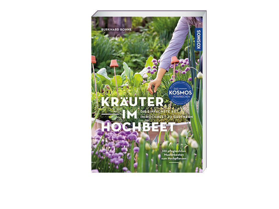 Kräuter im Hochbeet Banner