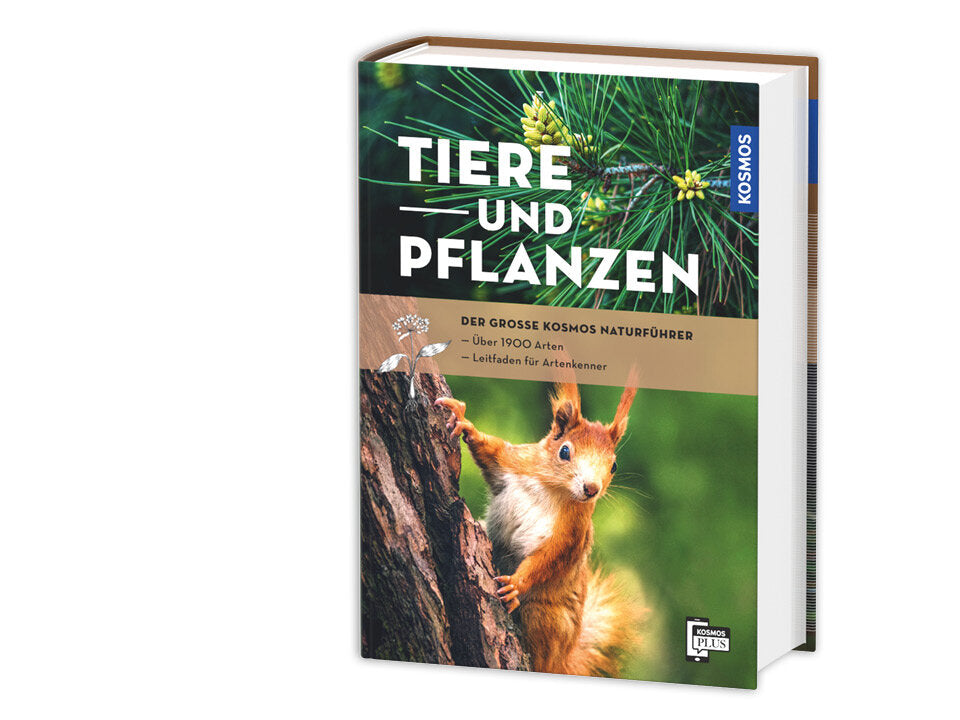 Der große Kosmos-Naturführer Tiere und Pflanzen Banner