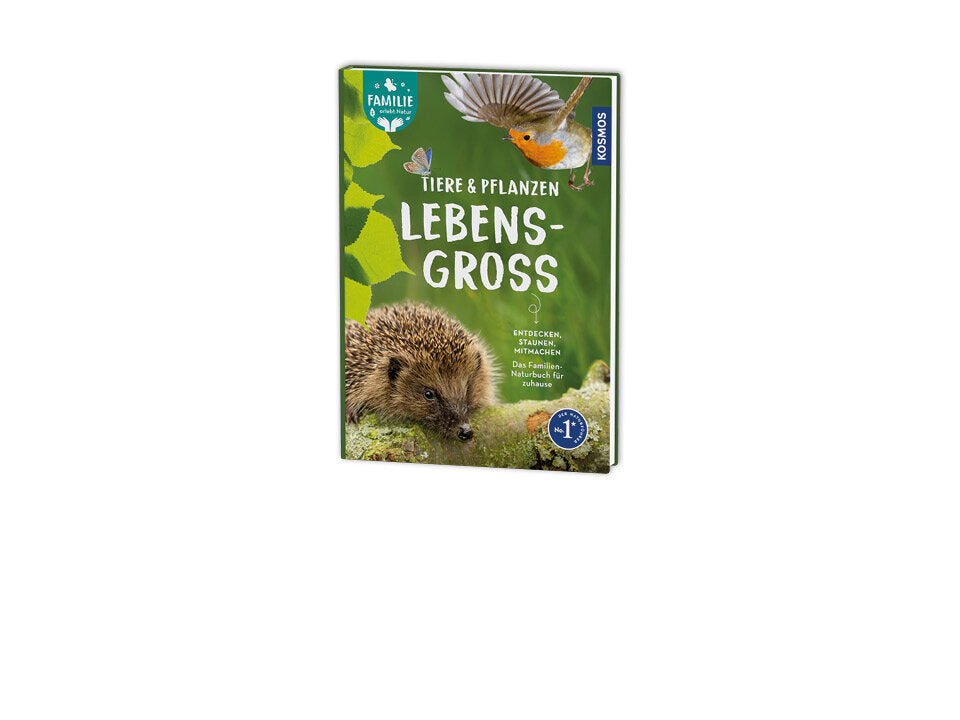 Tiere und Pflanzen lebensgroß Banner