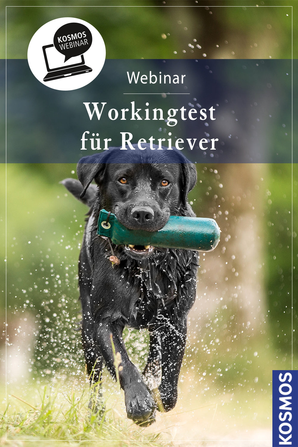 Working-Tests für Retriever - die rassegerechte Beschäftigung mit dem Dummy