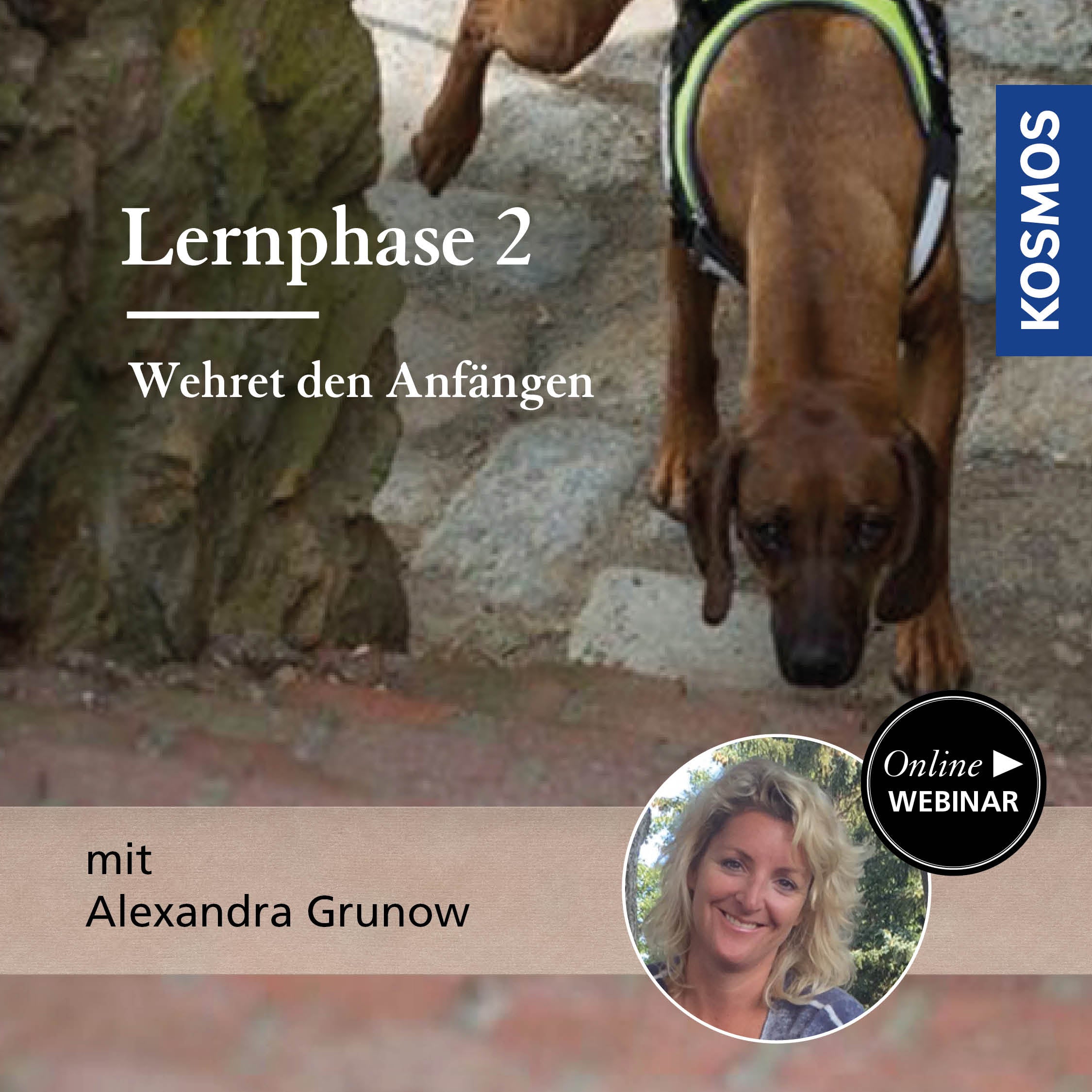 Learning Phase 2 - Nip it in the bud!