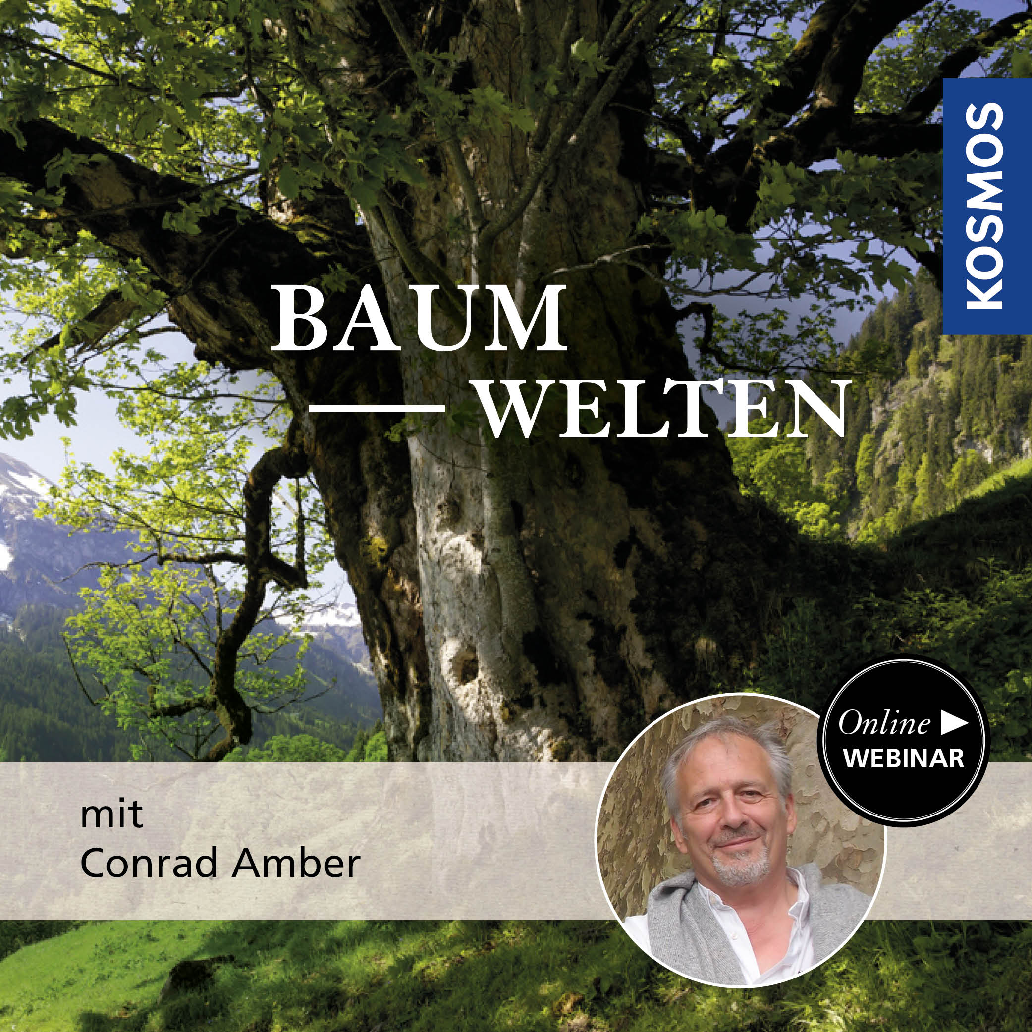 Baumwelten