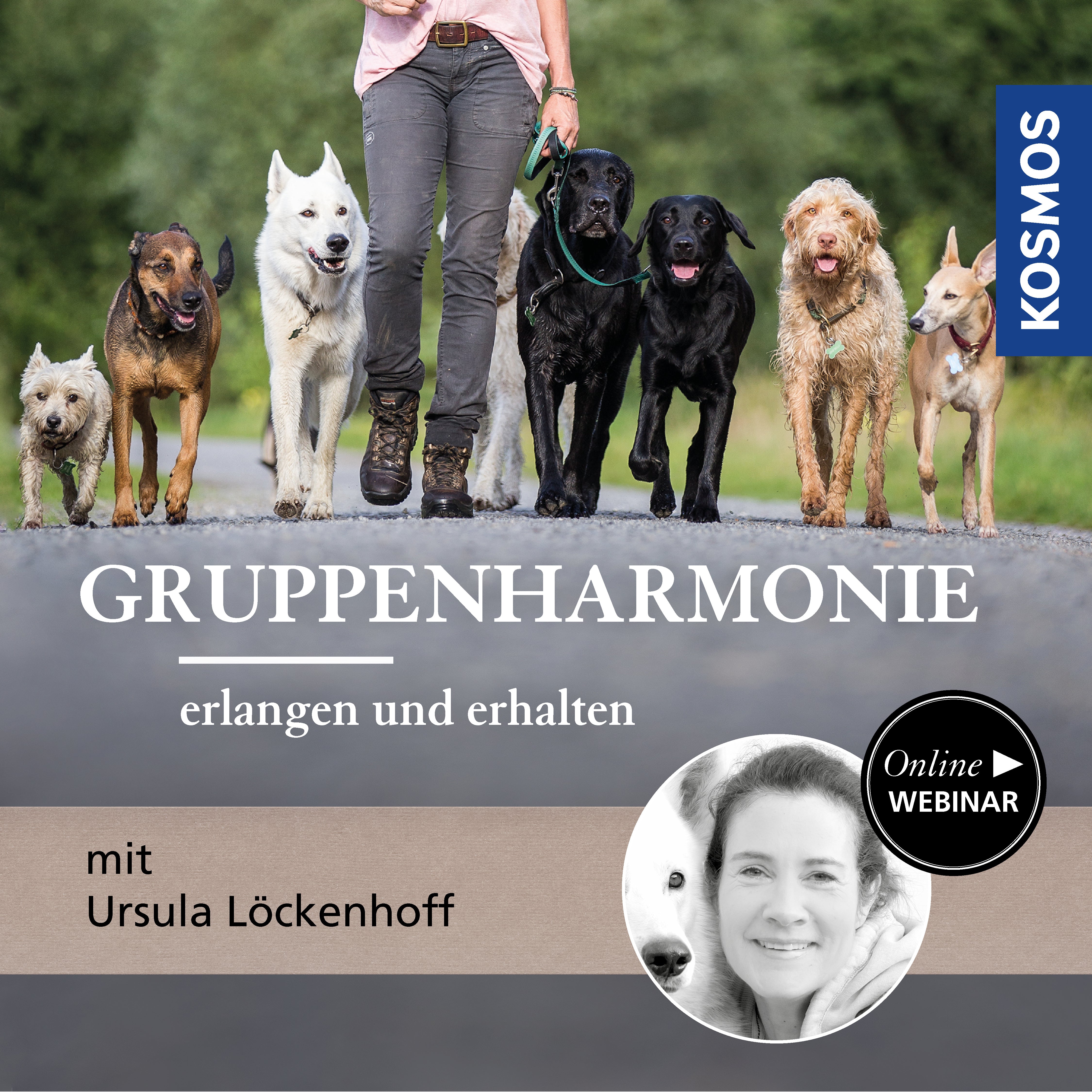 Gruppenharmonie erlangen und erhalten