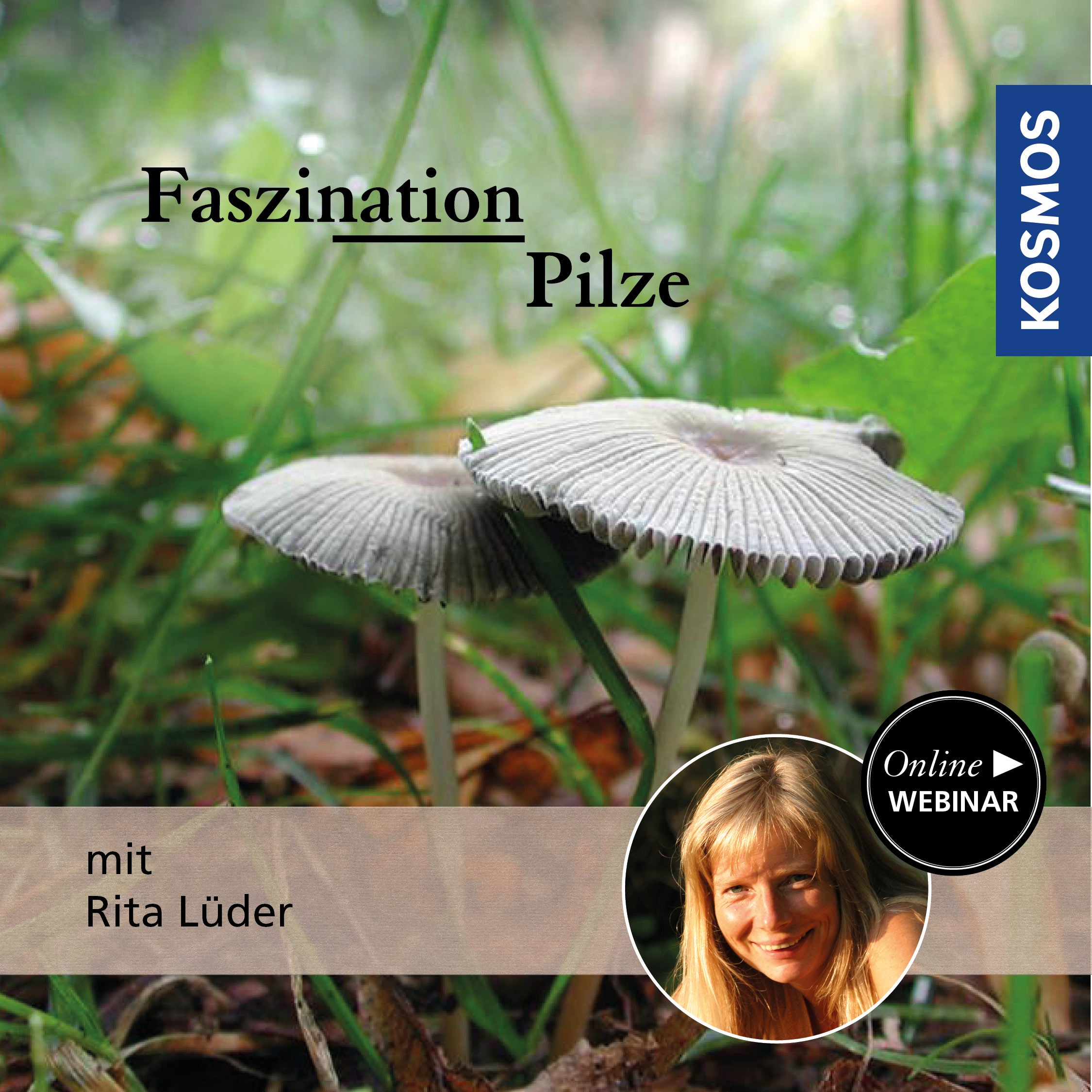 Faszination Pilze