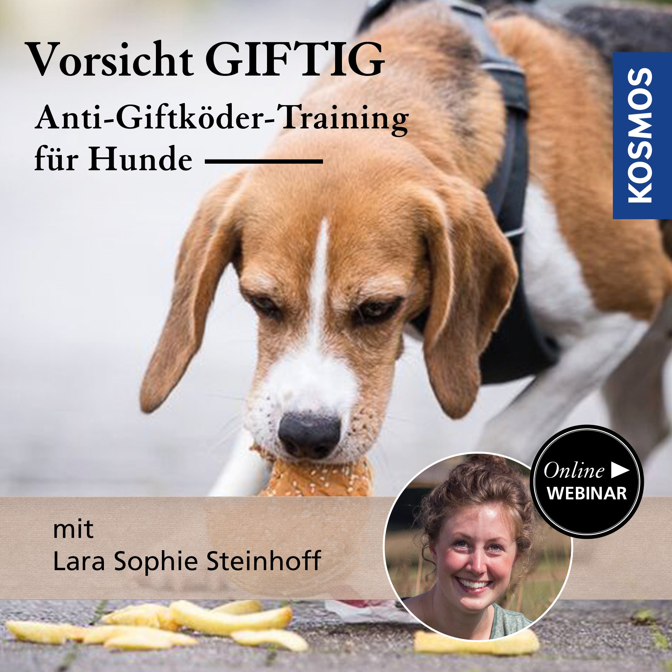 Vorsicht giftig – Anti-Giftköder-Training für Hunde