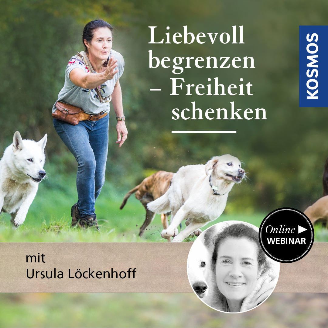 Liebevoll begrenzen – Freiheit schenken