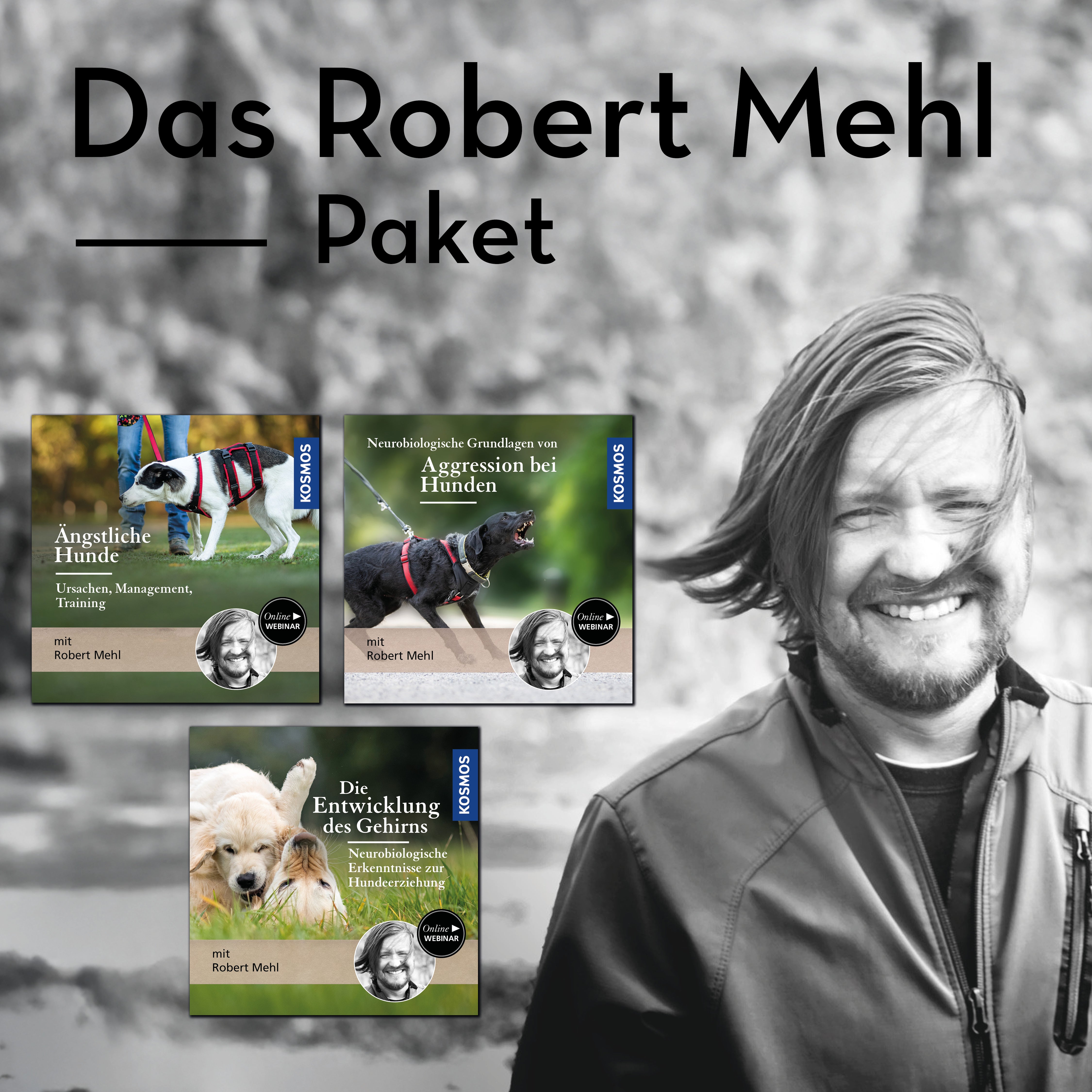 Das Robert Mehl Webinar-Paket