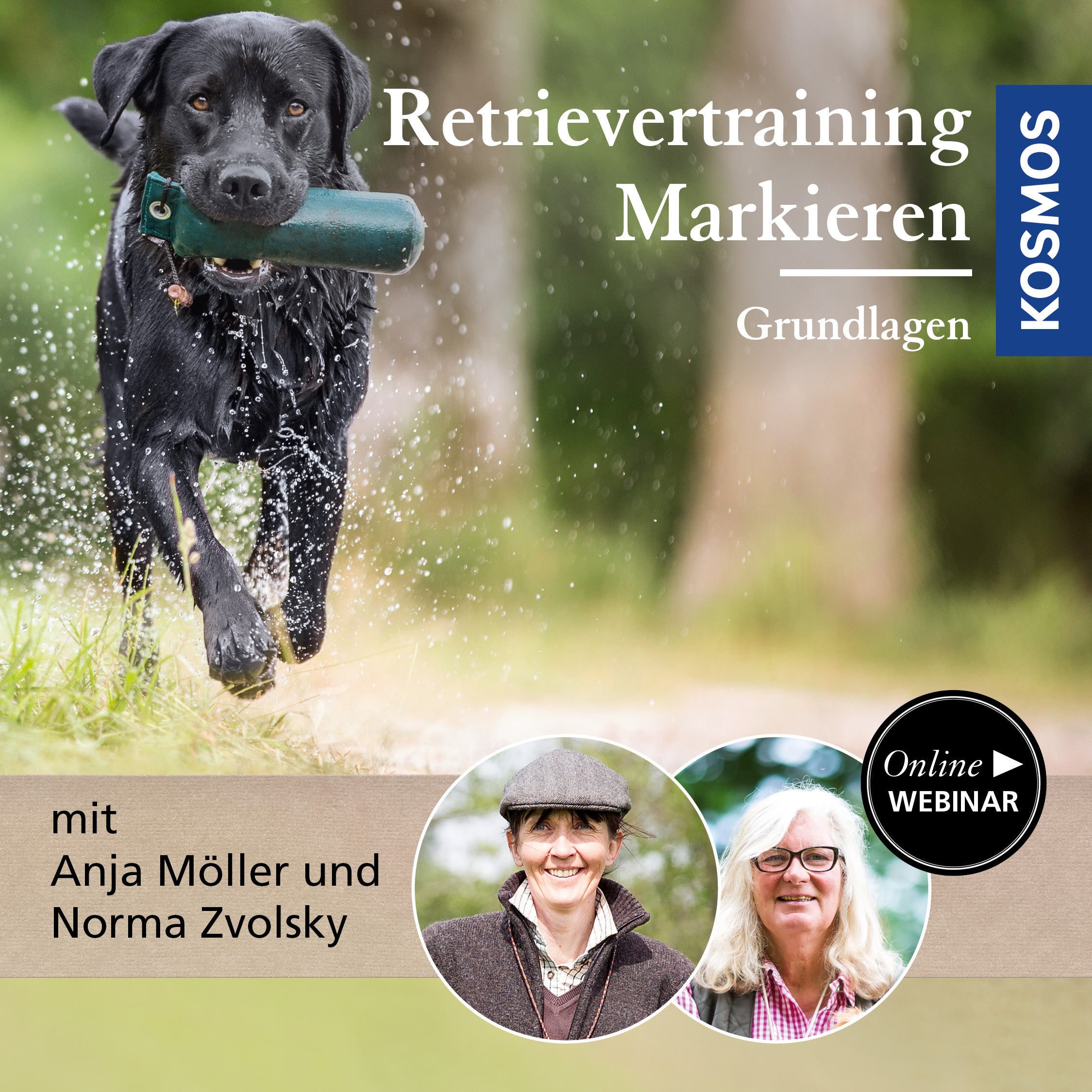 Retrievertraining  Markieren – Grundlagen