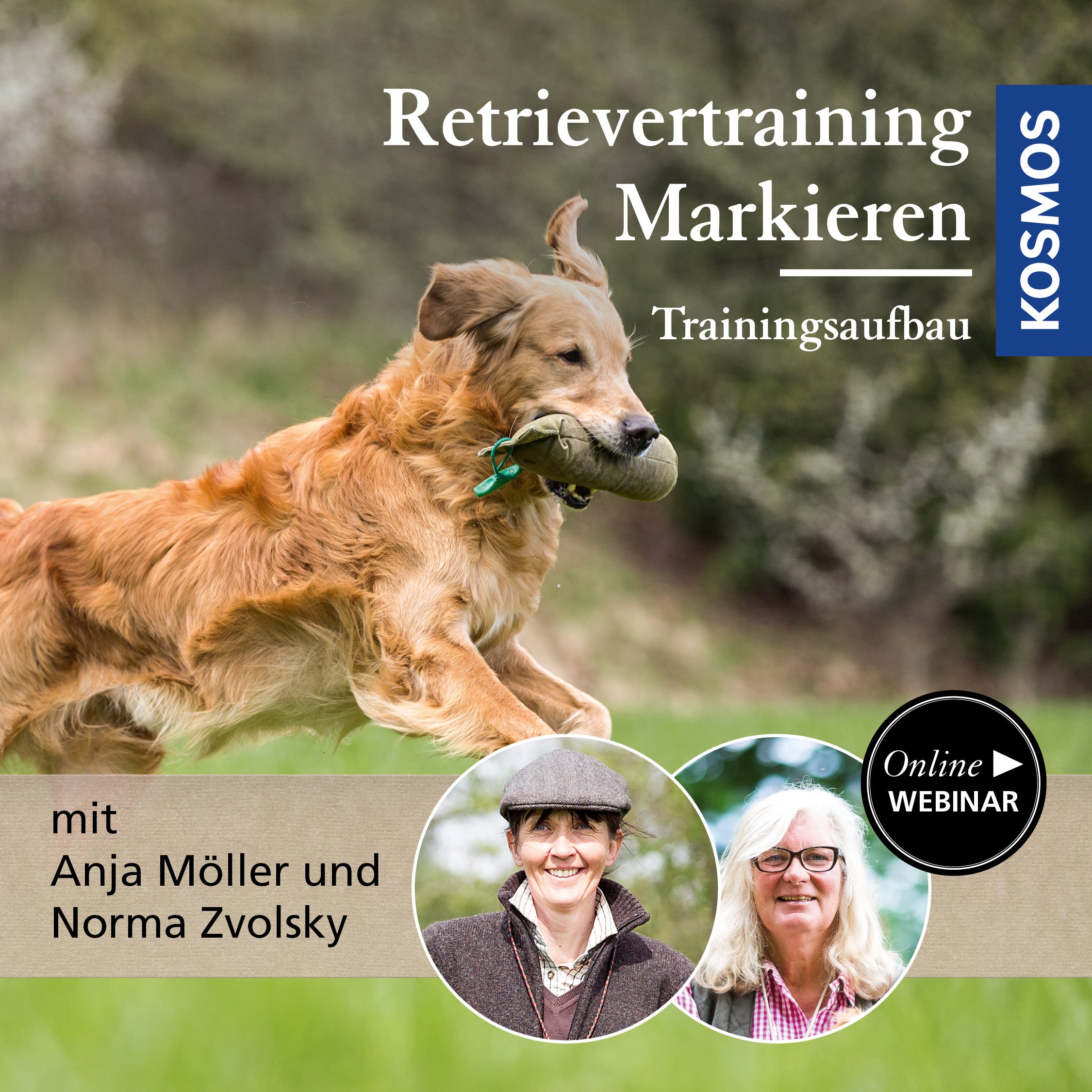 Retrievertraining  Markieren – Trainingsaufbau
