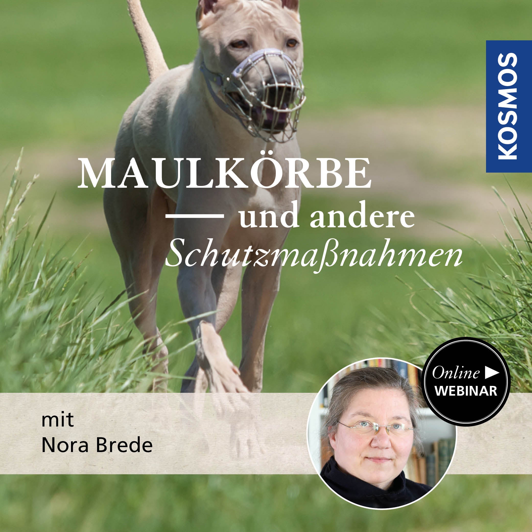 Maulkörbe und andere Schutzmaßnahmen
