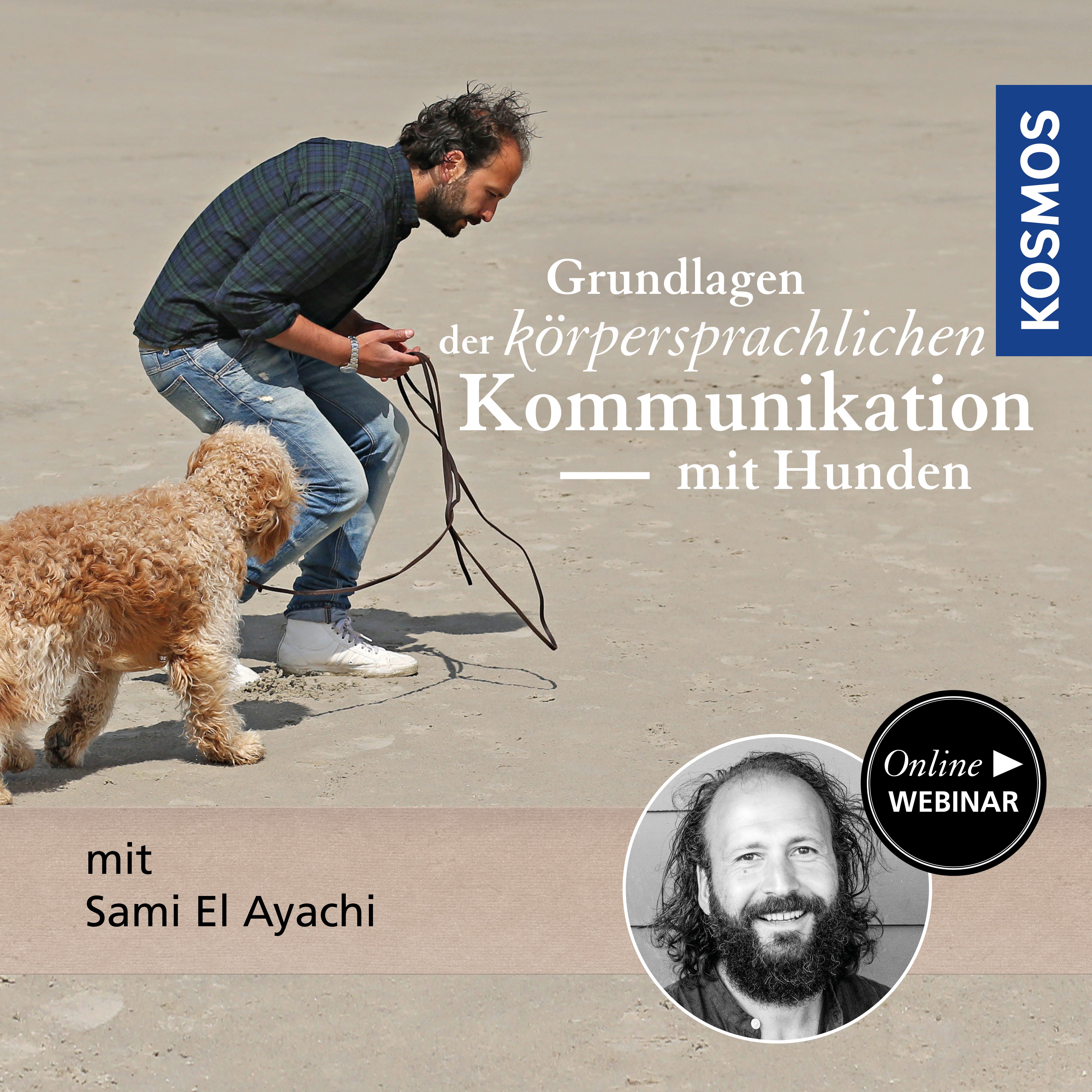 Grundlagen der körpersprachlichen Kommunikation mit Hunden