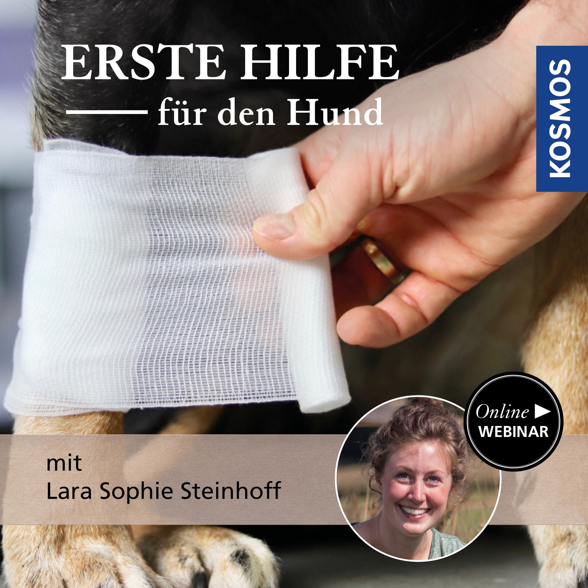 Erste Hilfe für den Hund