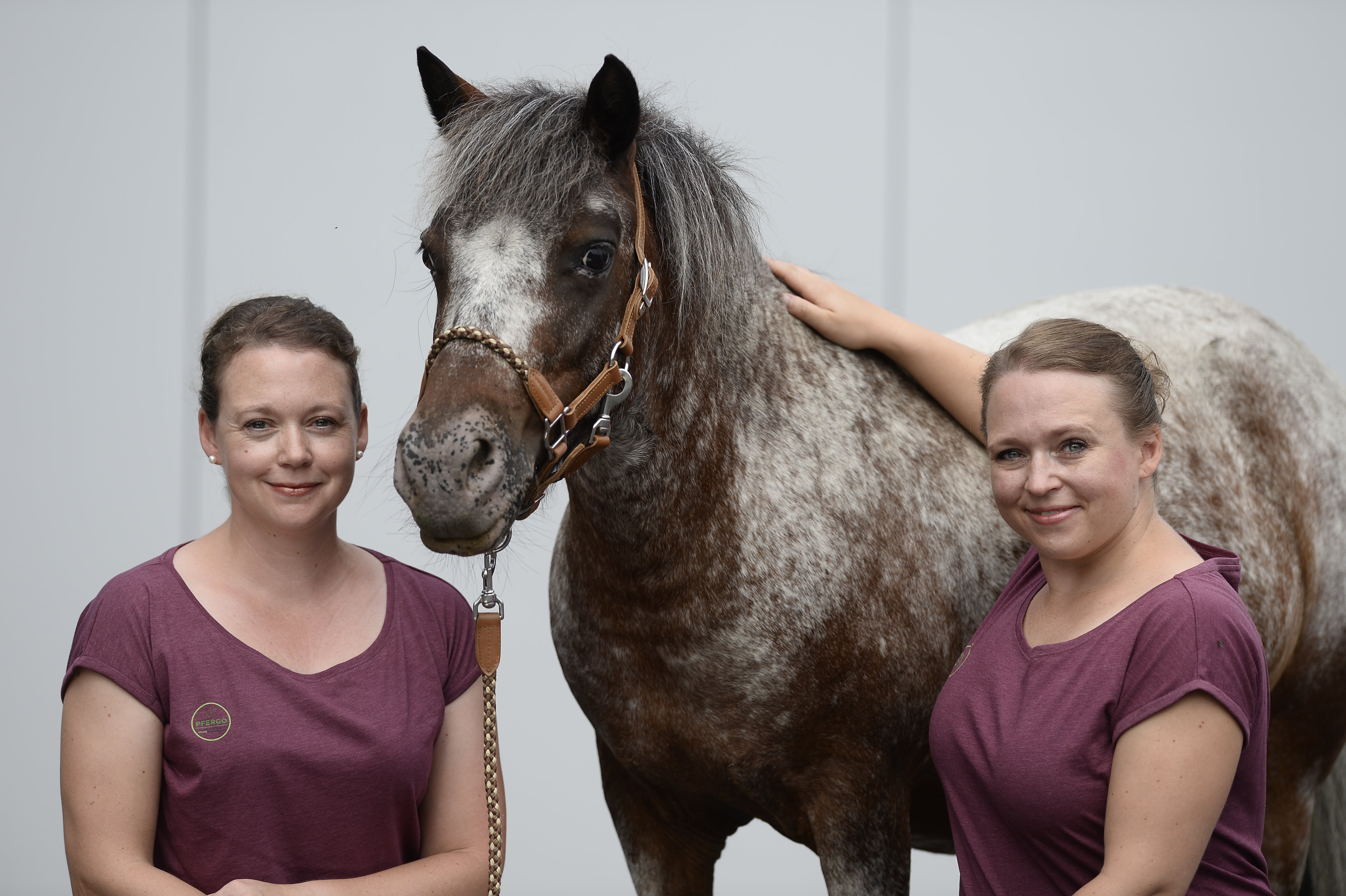 Stabiler Rumpf – geschickte Beine: Propriozeptives Training für mein Pferd!