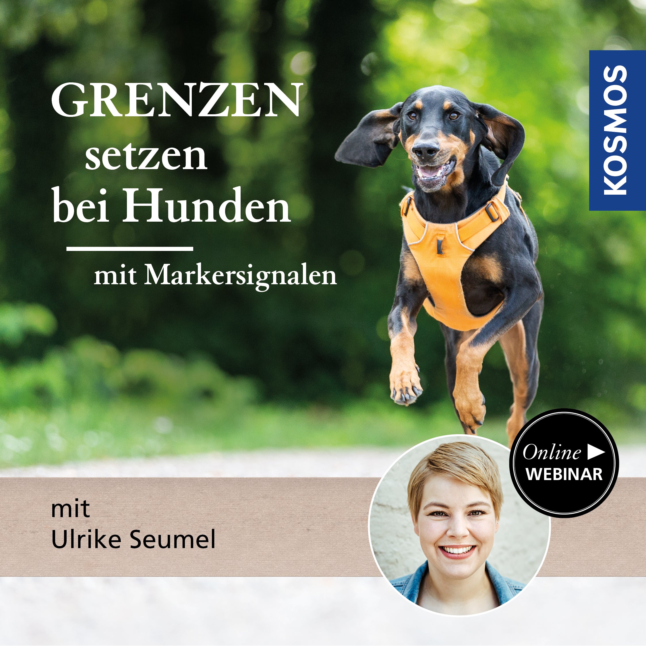 Grenzen setzen bei Hunden – mit Markersignalen