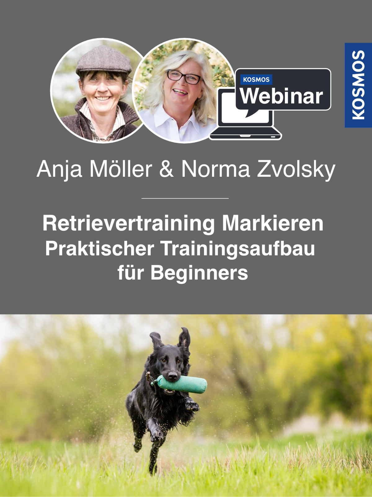 Retrievertraining Markieren – Praktischer Trainingsaufbau für Beginners