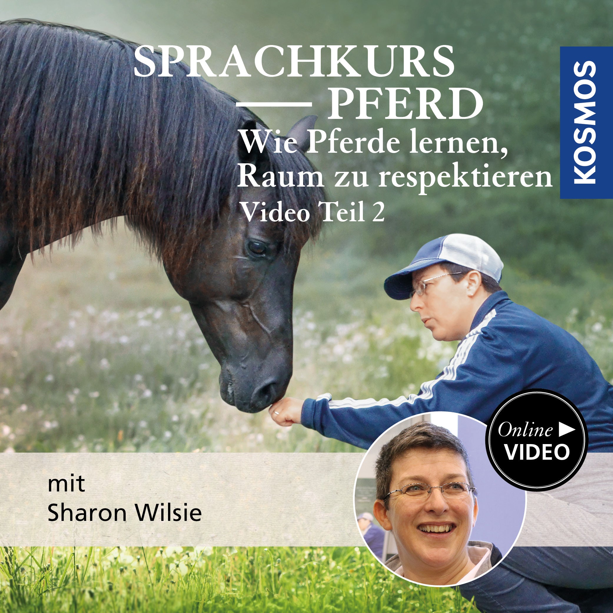 Sprachkurs Pferd – Wie Pferde lernen, Raum zu respektieren Teil 2