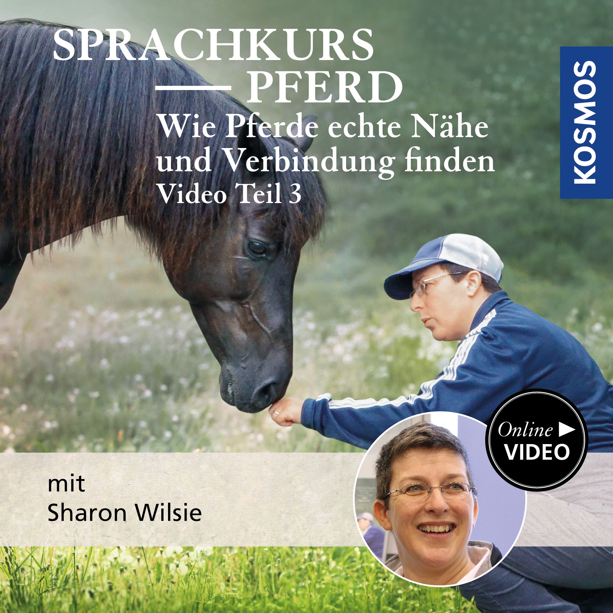 Sprachkurs Pferd – Wie Pferde echte Nähe und Verbindung finden Teil 3