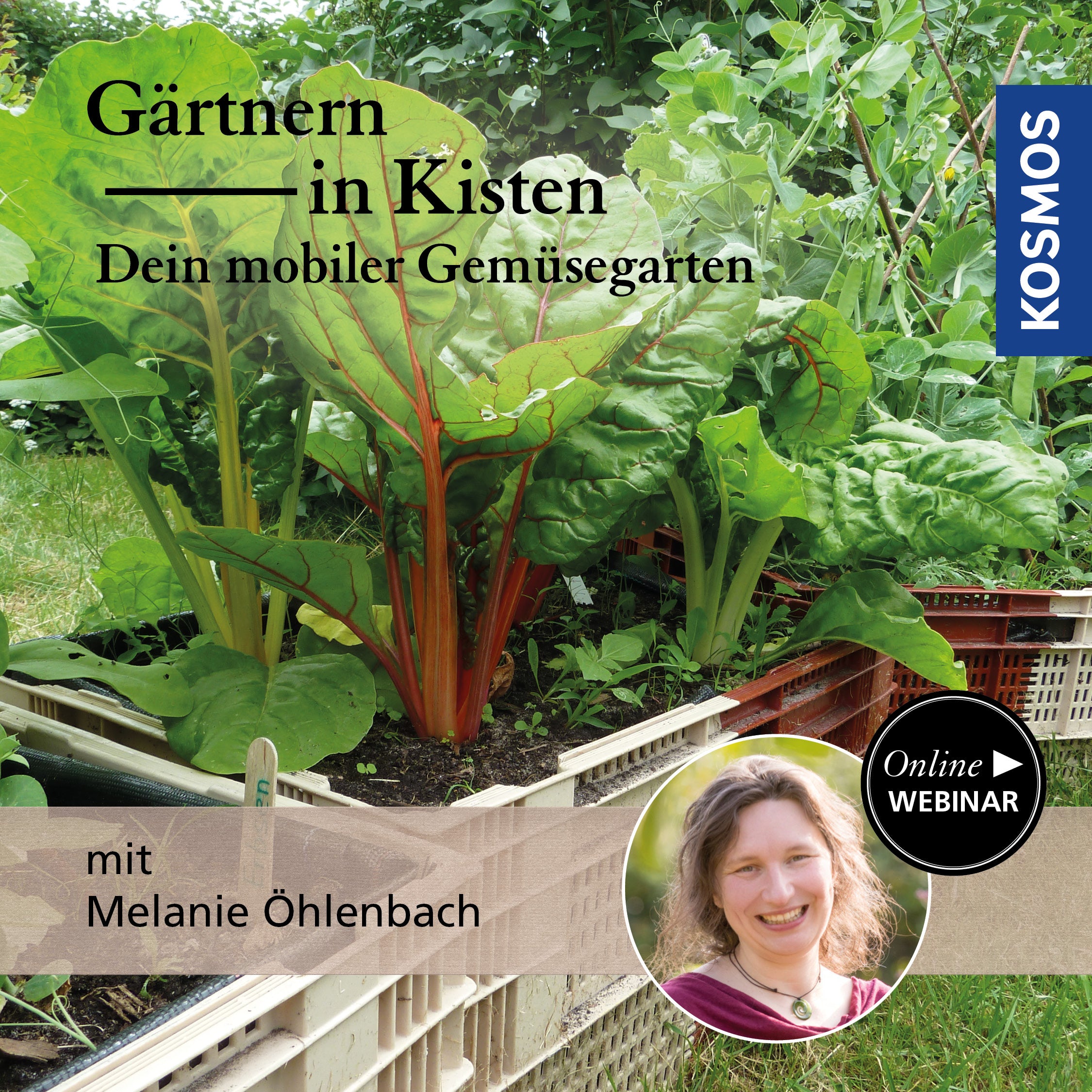 Gärtnern in Kisten – Dein mobiler Gemüsegarten