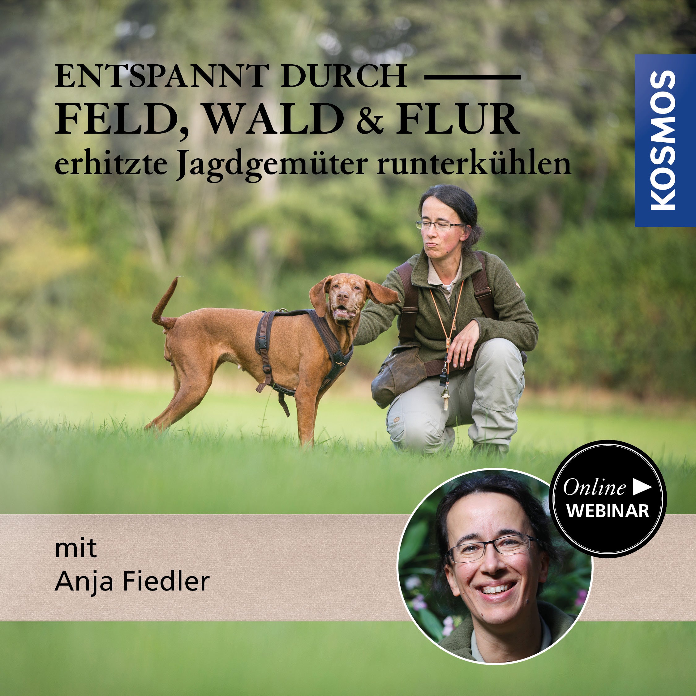 Entspannt durch Feld, Wald & Flur: erhitzte Jagdgemüter runterkühlen