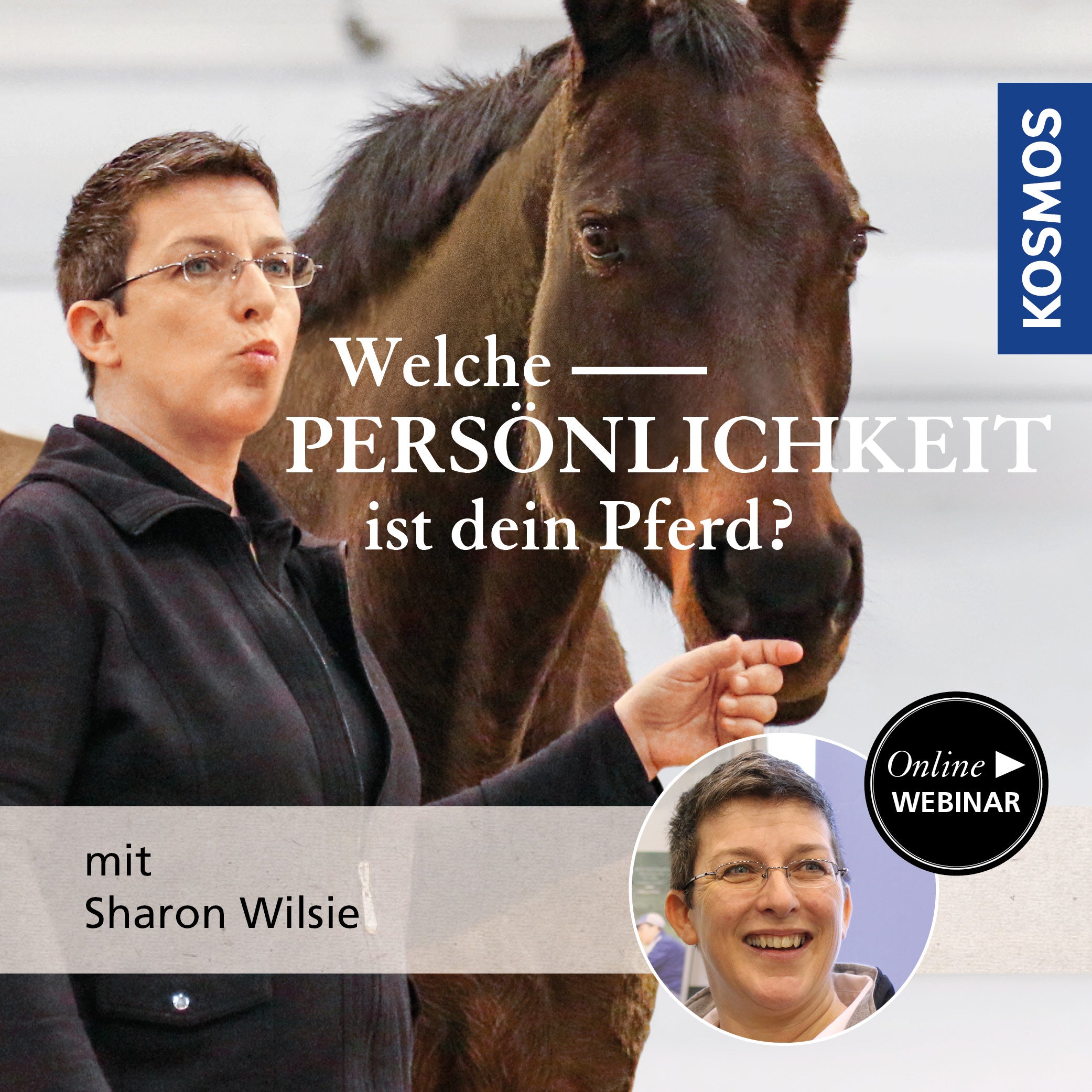 Welche Persönlichkeit ist Ihr Pferd?