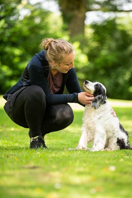 Rally Obedience – Getting Started Made Easy!
