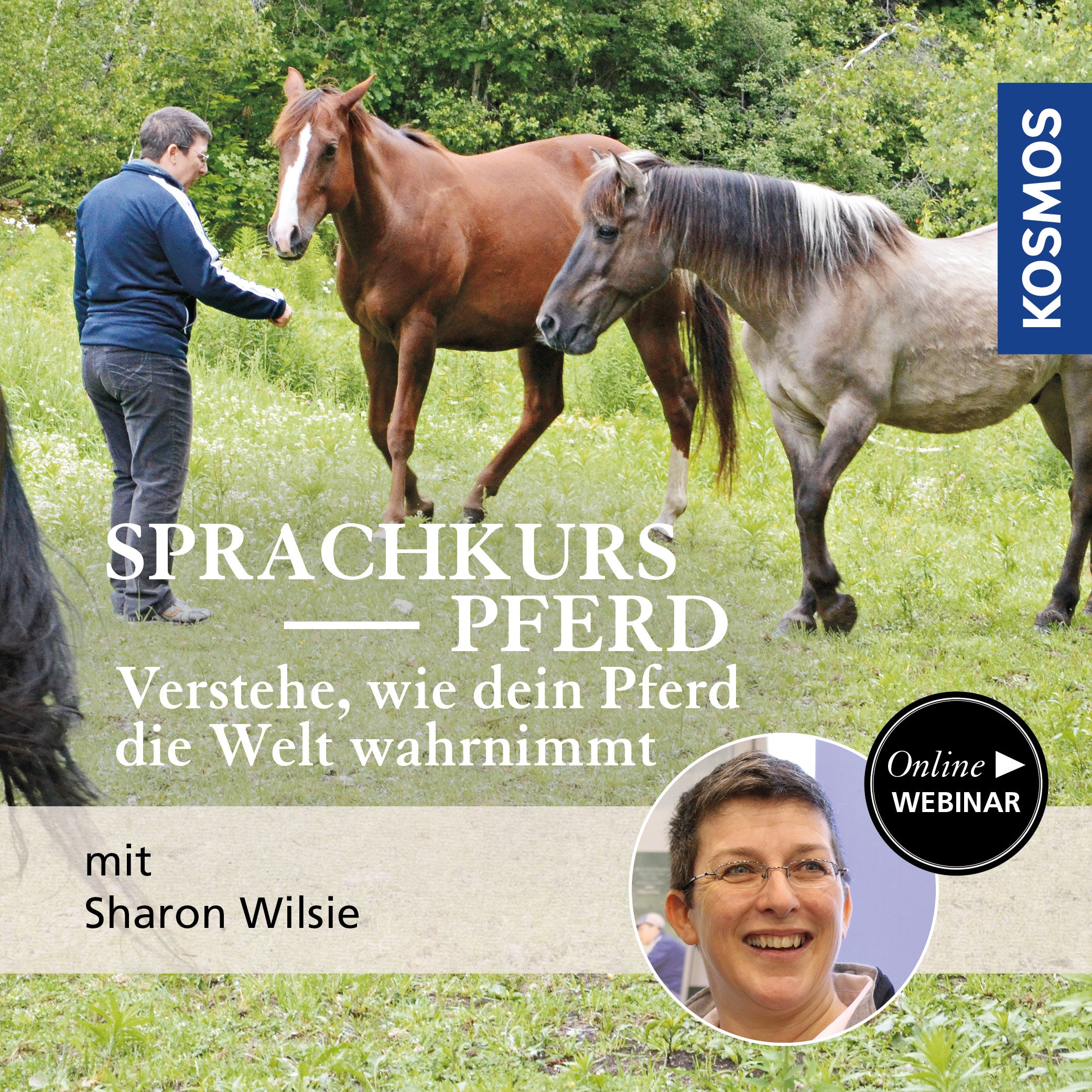 Der Sprachkurs Pferd – Verstehe, wie dein Pferd die Welt wahrnimmt