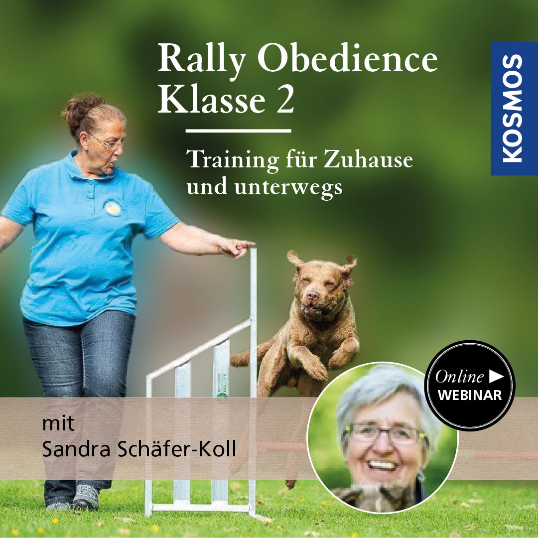 Rally Obedience Level 2 - Training for Home and On the Go