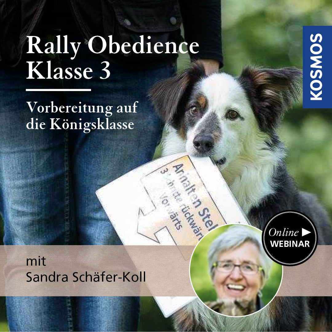 Rally Obedience Class 3 - Preparation for the Master Class