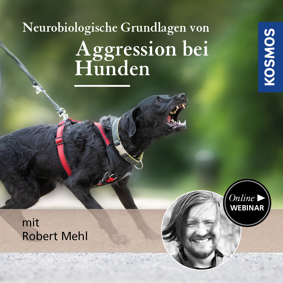 Neurobiologische Grundlagen von Aggression bei Hunden