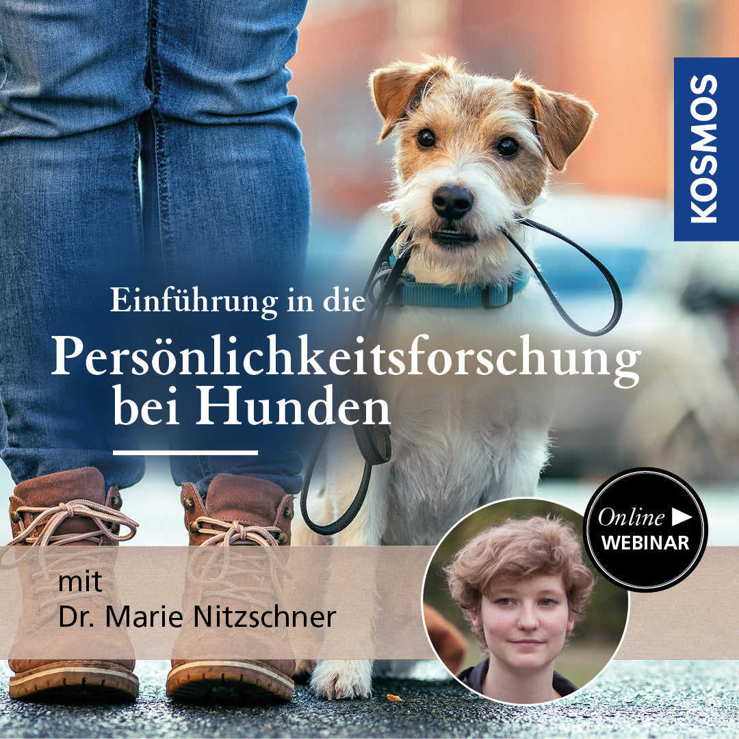 Persönlichkeitsforschung bei Mensch und Hund