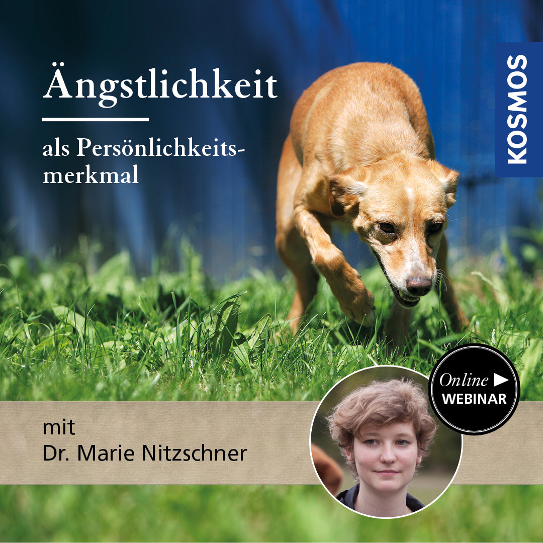 Ängstlichkeit als Persönlichkeitsmerkmal