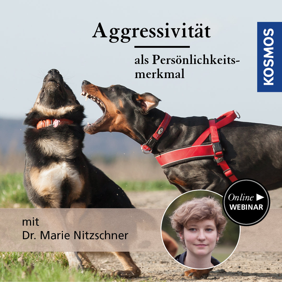 Aggressivität als Persönlichkeitsmerkmal