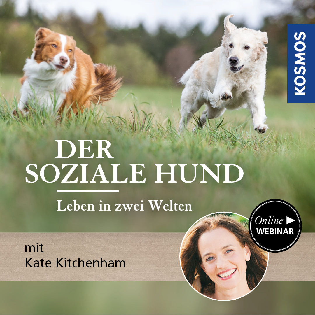 The Social Dog - Living in Two Worlds