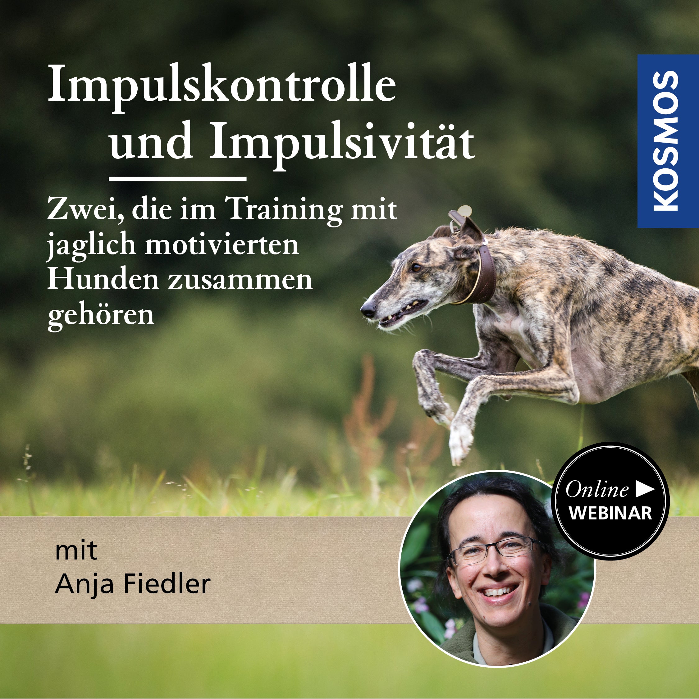 Impulskontrolle und Impulsivität im Training mit jagdlich motivierten Hunden