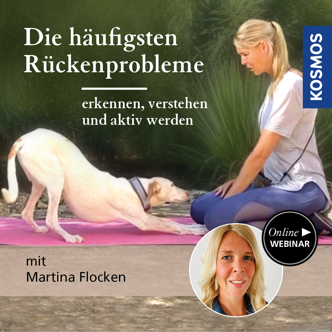 Die häufigsten Rückenerkrankungen
