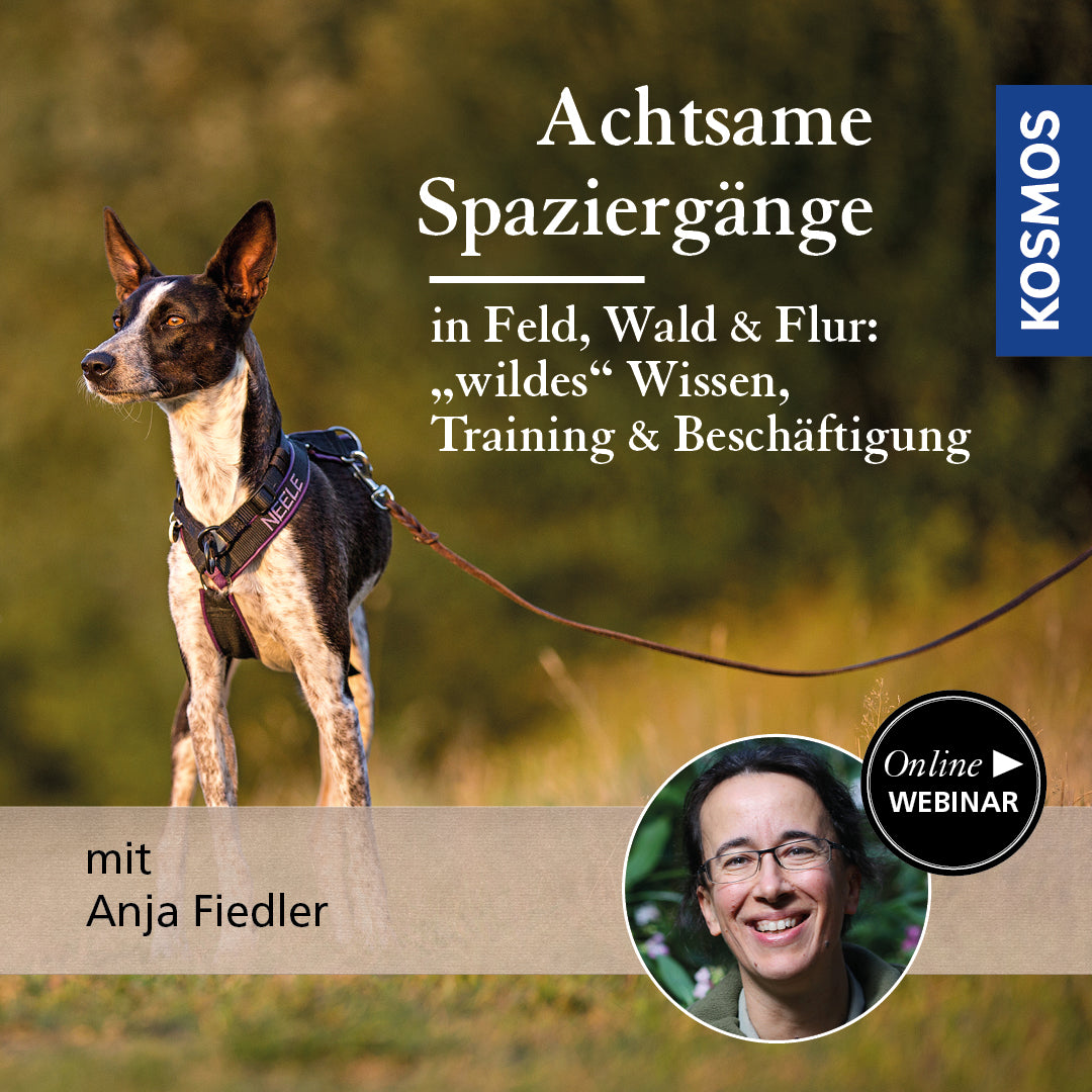 Achtsame Spaziergänge in Feld, Wald & Flur: wildes Wissen, Training & Beschäftigung