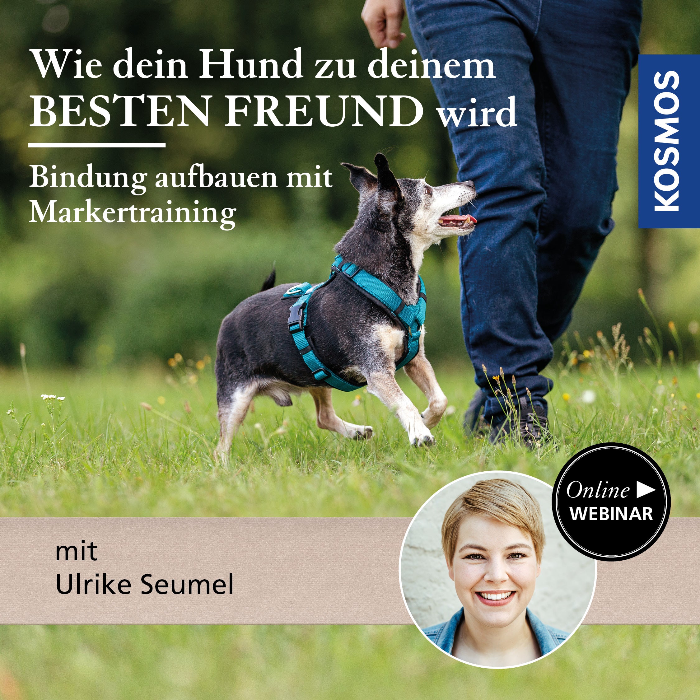 Wie dein Hund zu deinem besten Freund wird – Bindung aufbauen mit Markertraining