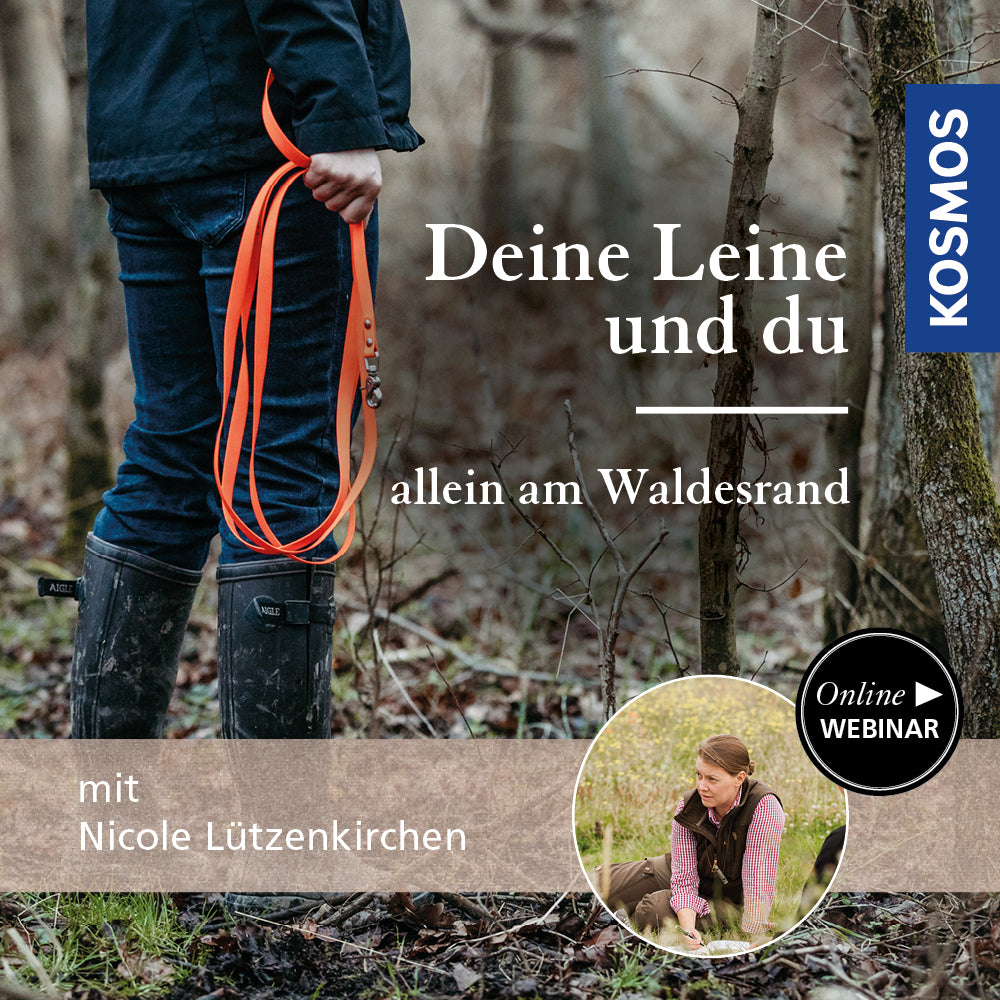 Your leash and you - Alone at the edge of the forest