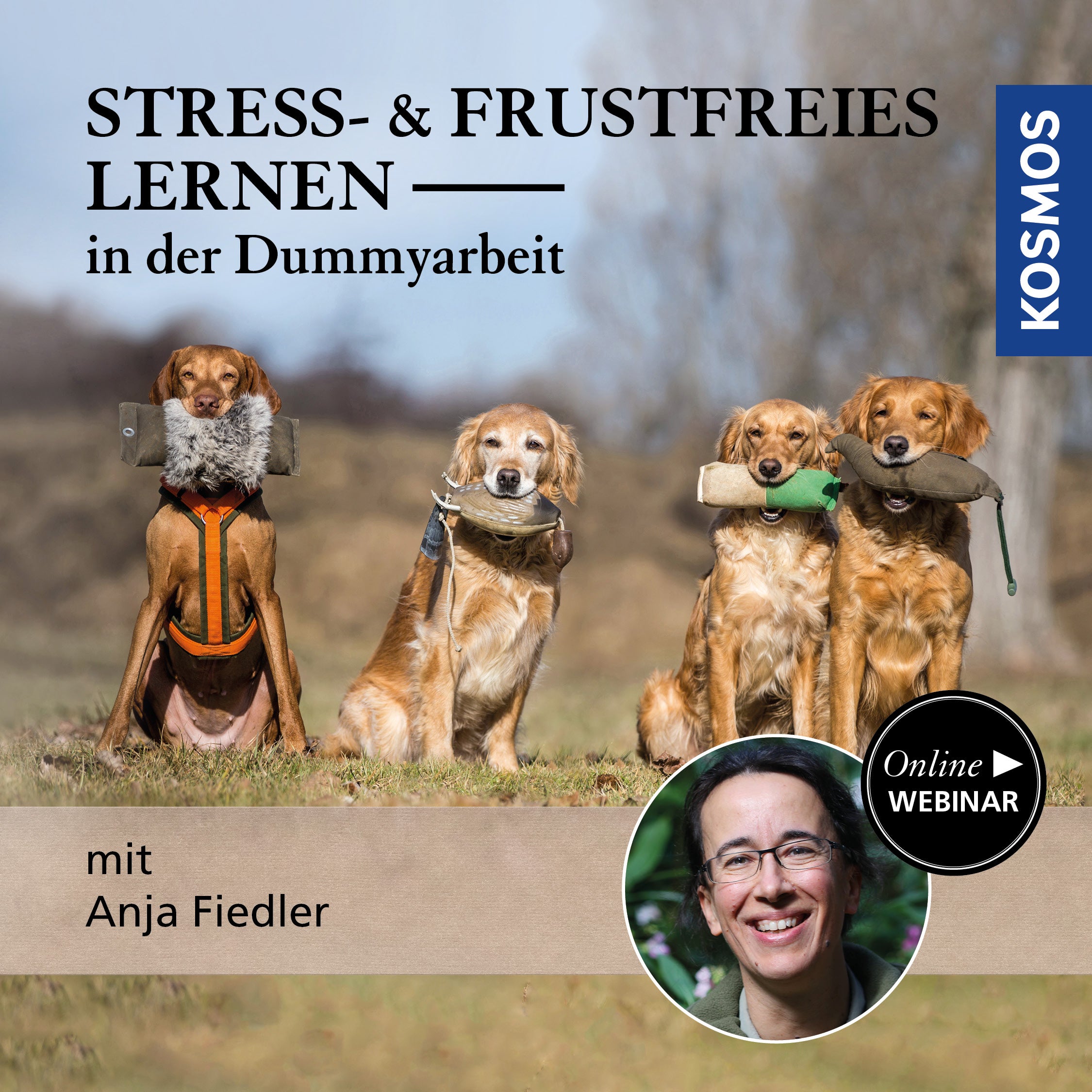Stress- und frustfreies Lernen in der Dummyarbeit