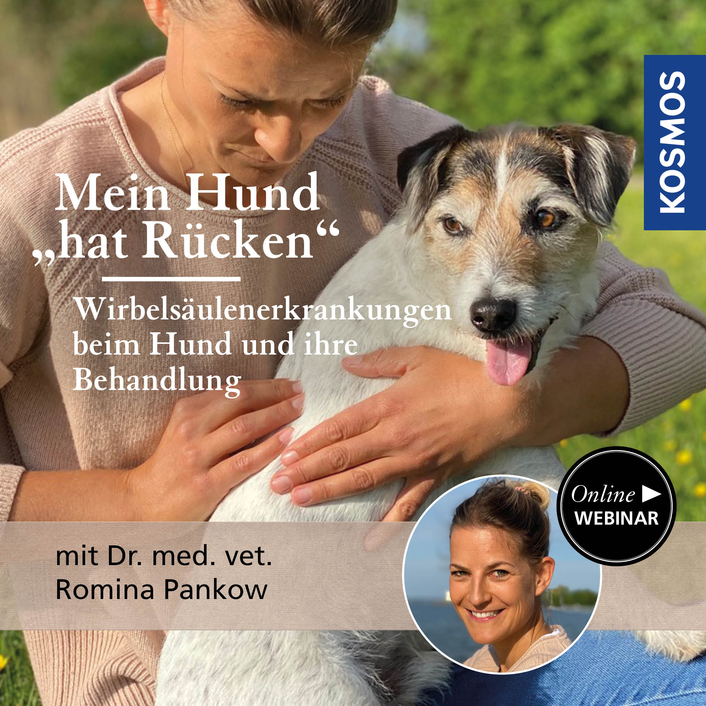 My dog "has back problems" – Spinal diseases in dogs and their treatment
