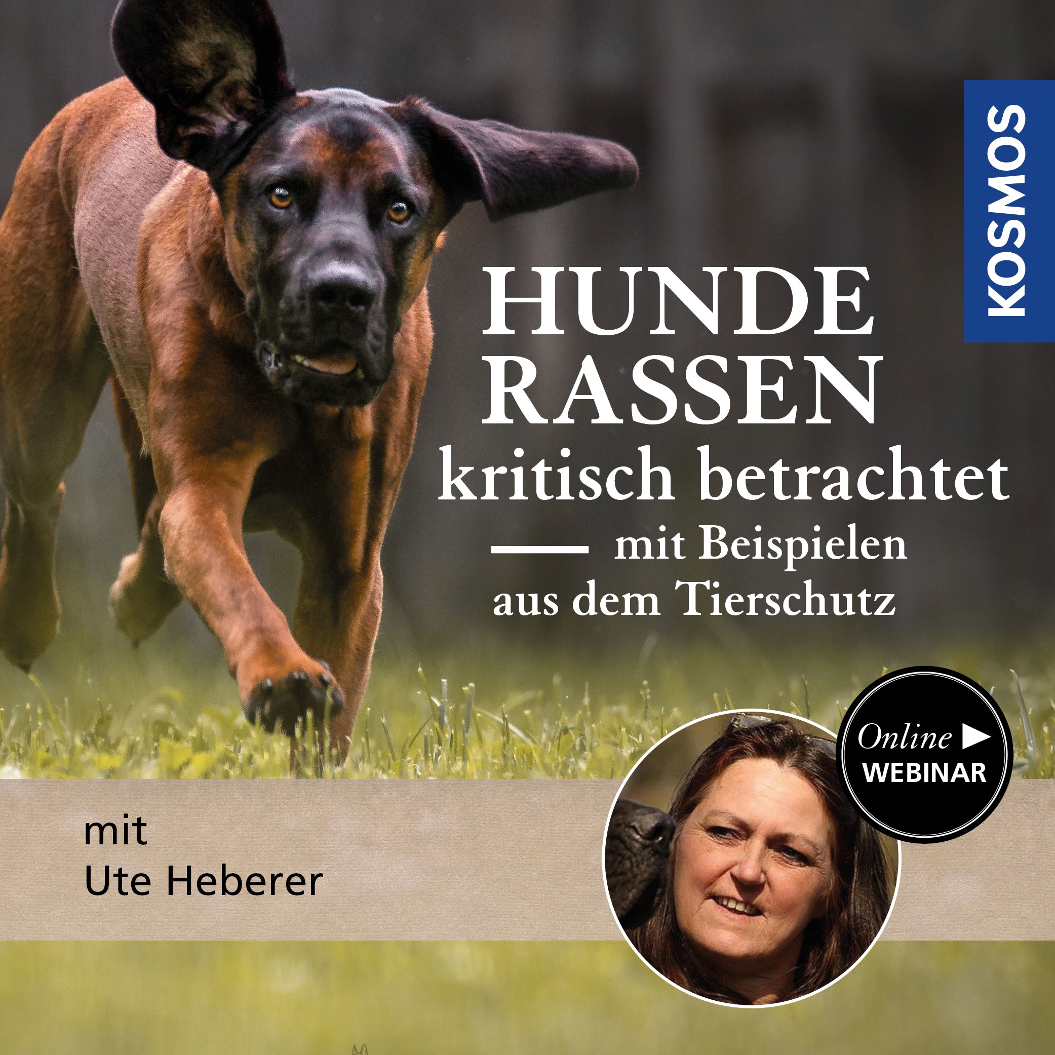 Hunderassen kritisch betrachtet – mit Beispielen aus dem Tierschutz