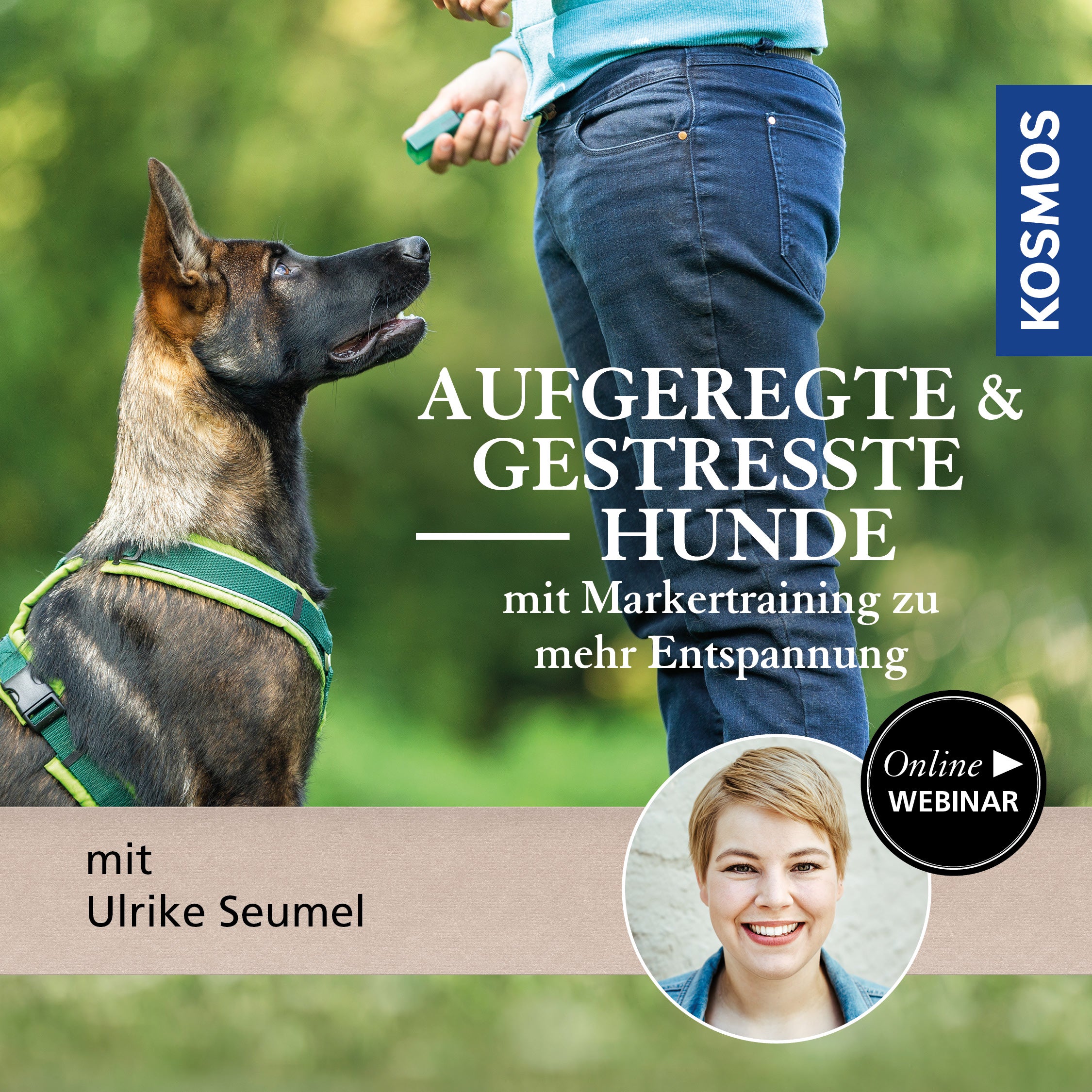 Aufgeregte & gestresste Hunde – mit Markertraining zu mehr Entspannung