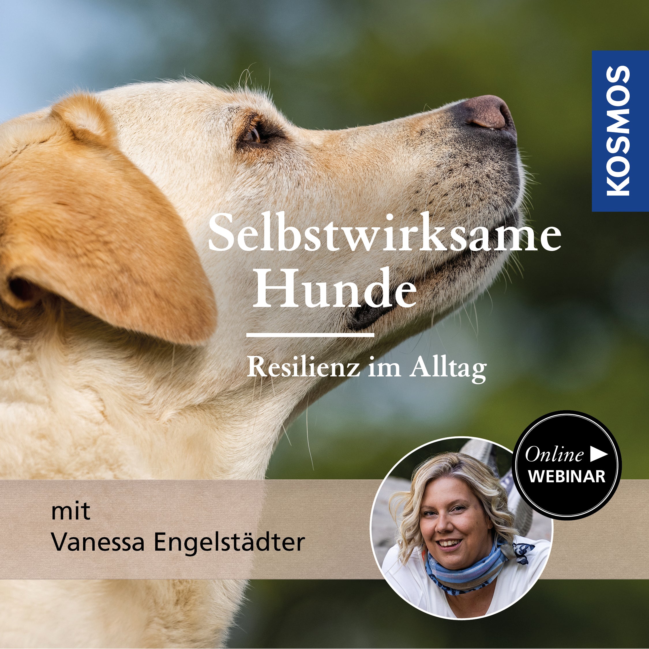 Selbstwirksame Hunde – Resilienz im Alltag