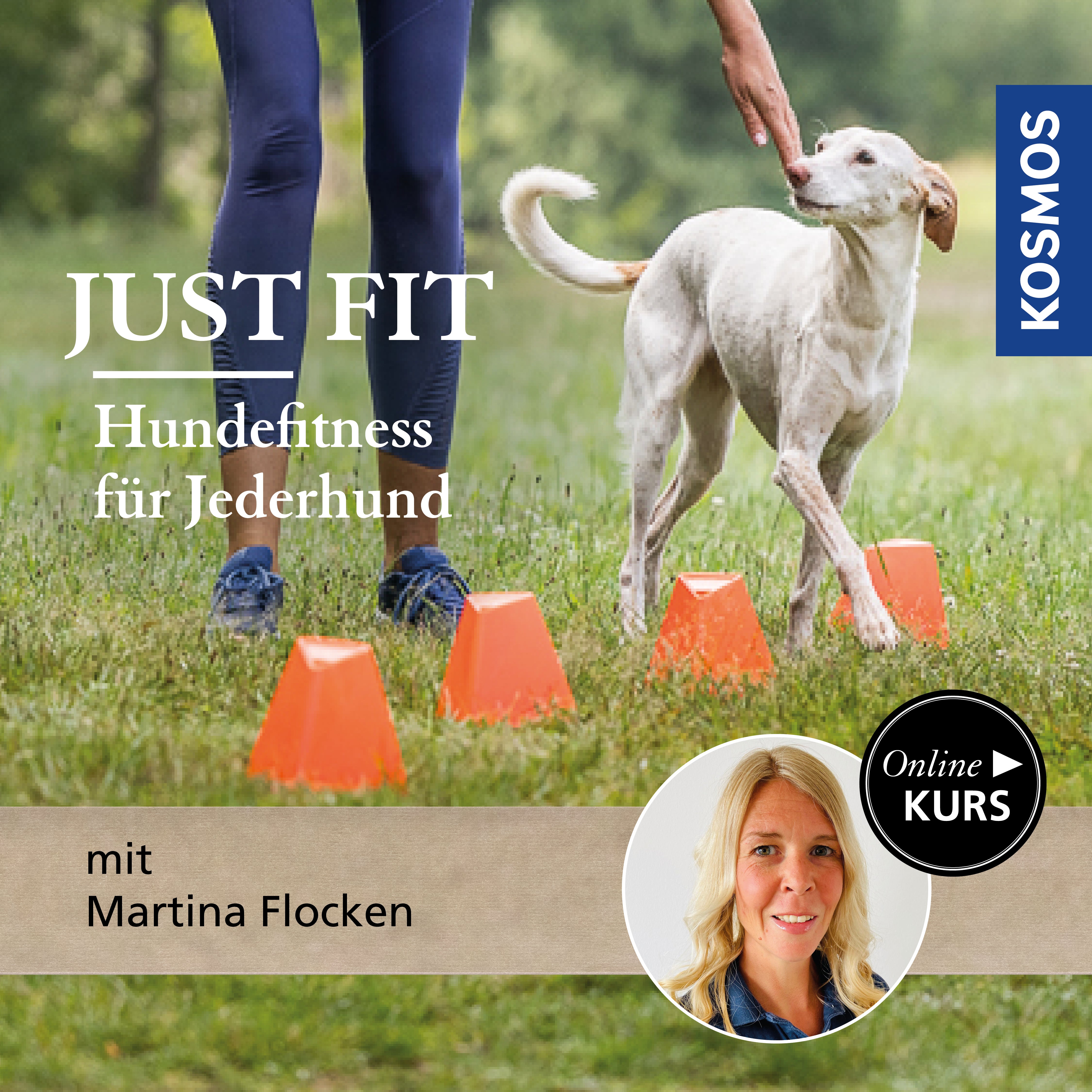 Just Fit – Hundefitness für Jederhund