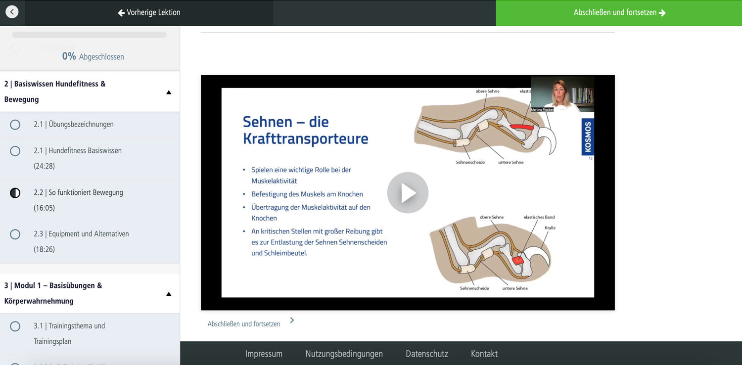 Just Fit – Hundefitness für Jederhund