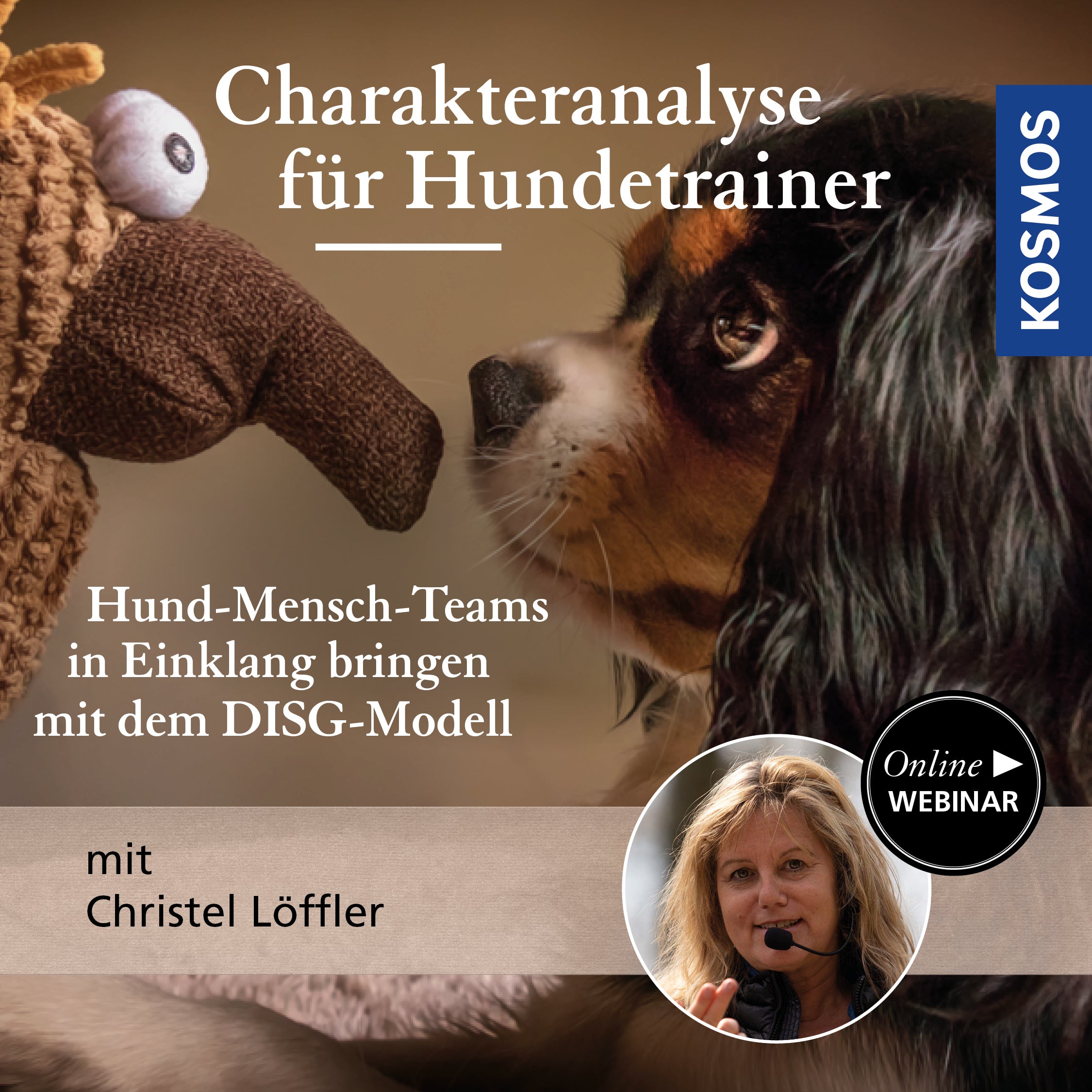 Charakteranalyse für Hundetrainer – Hund-Mensch-Teams in Einklang bringen mit dem DISG-Modell