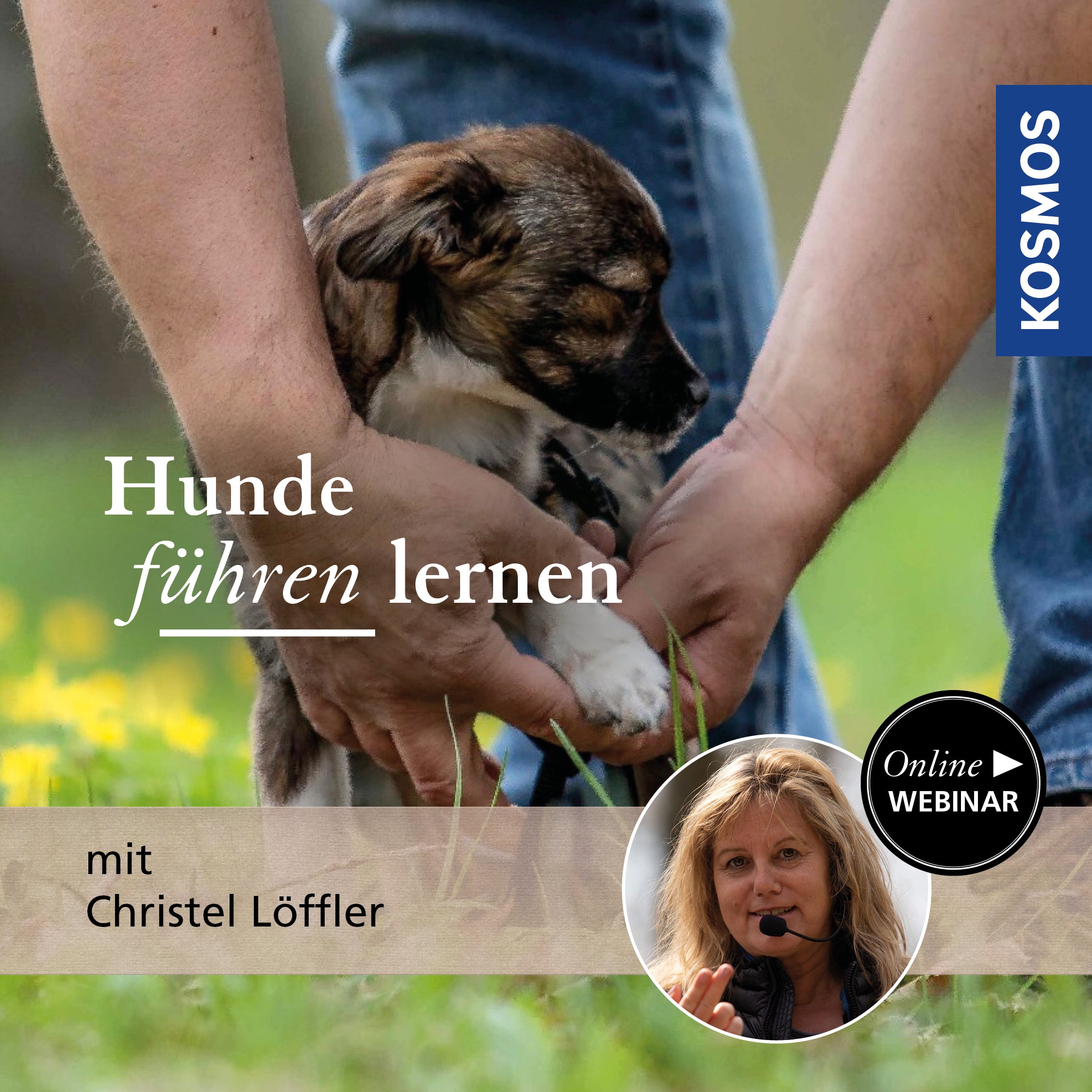 Learning to lead dogs