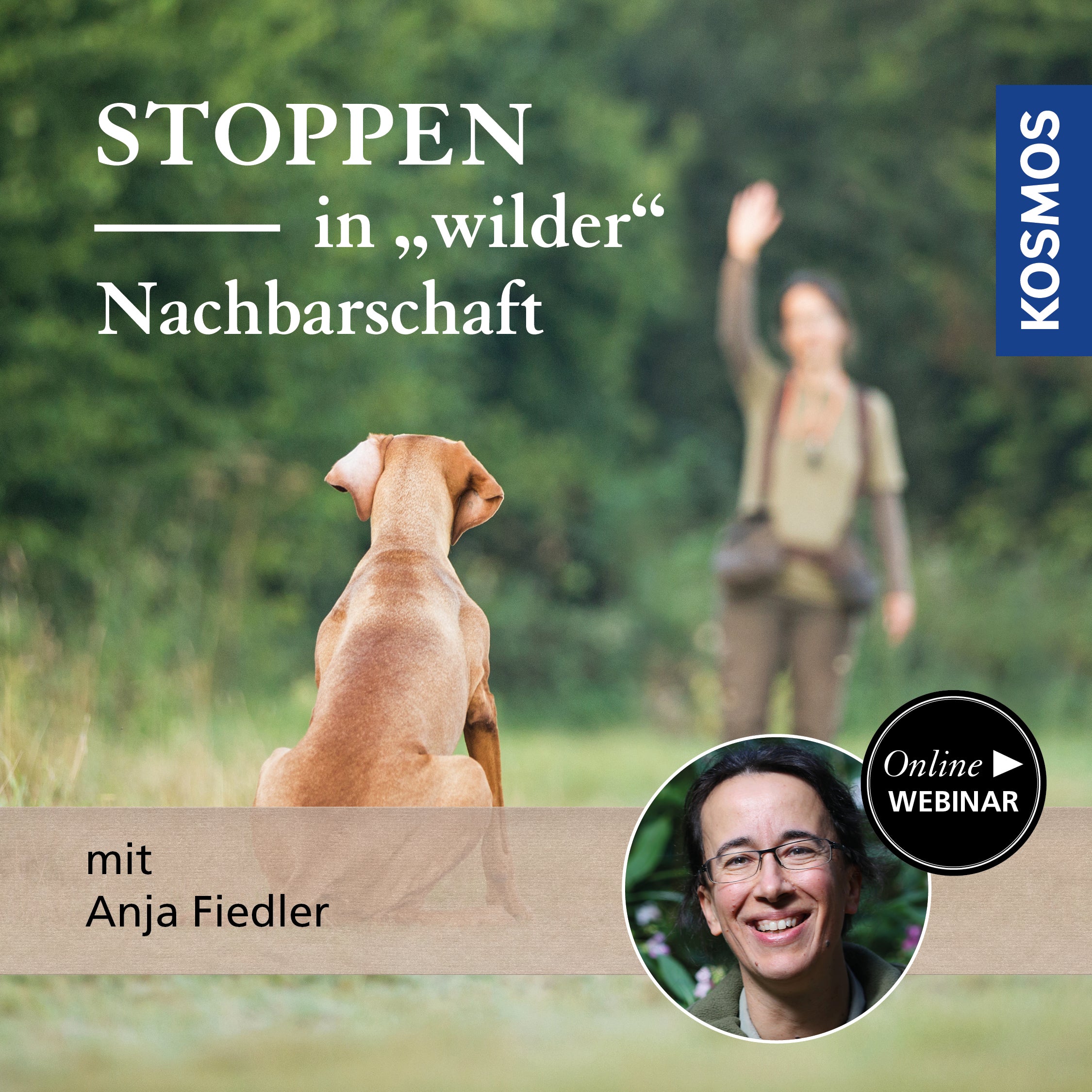 Stoppen in wilder Nachbarschaft