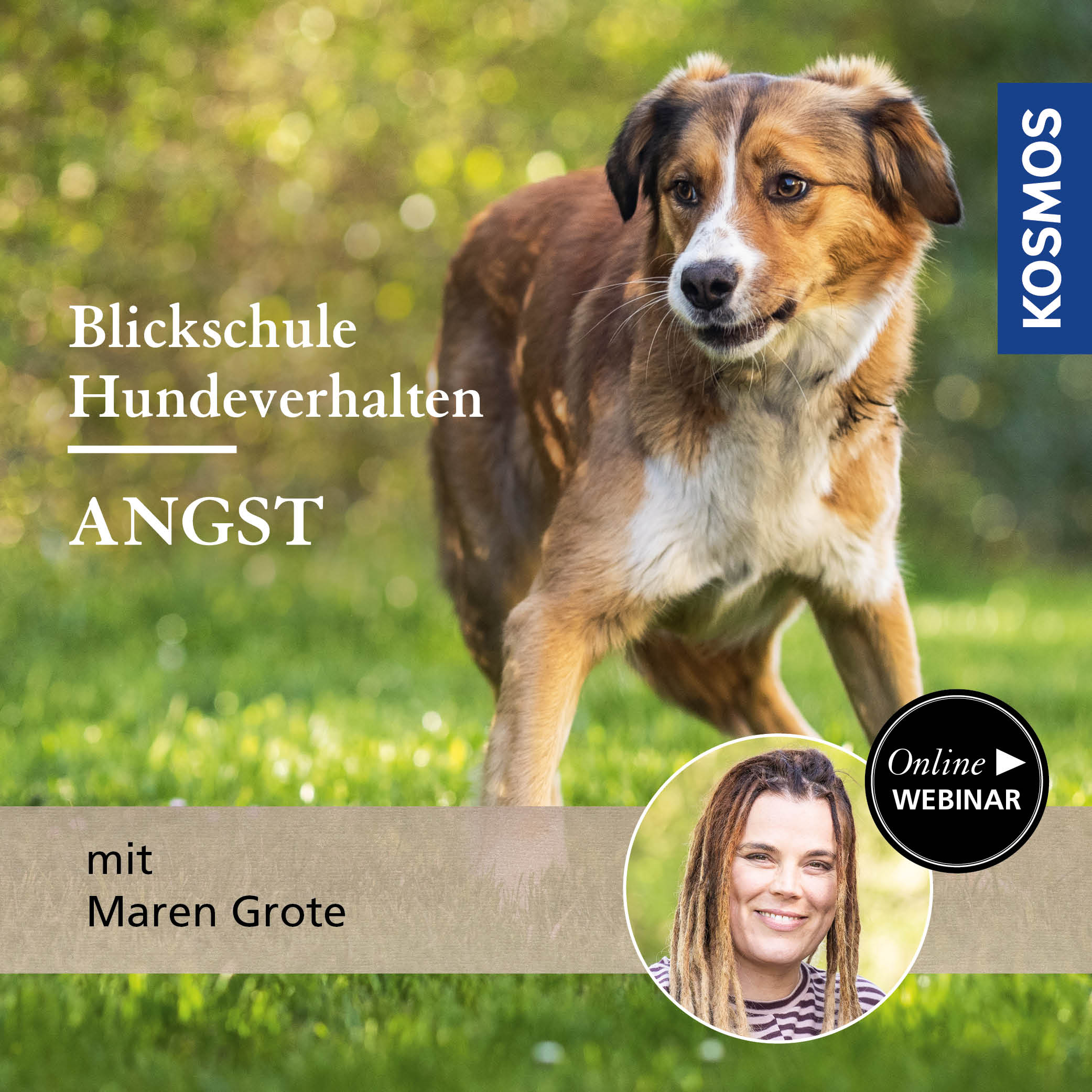 Blickschule Hundeverhalten – Angst