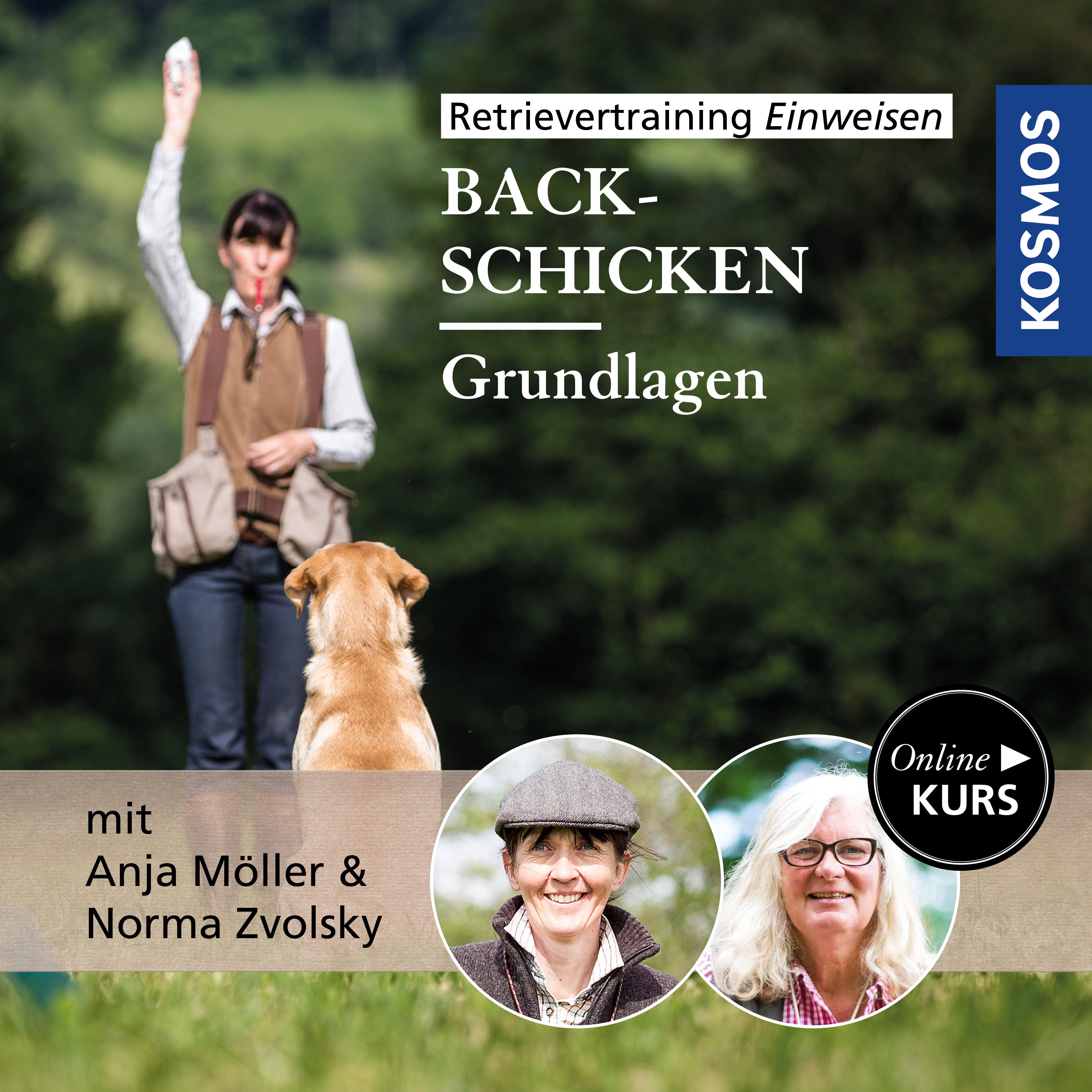 Retrievertraining Einweisen – Grundlagen Back-Schicken